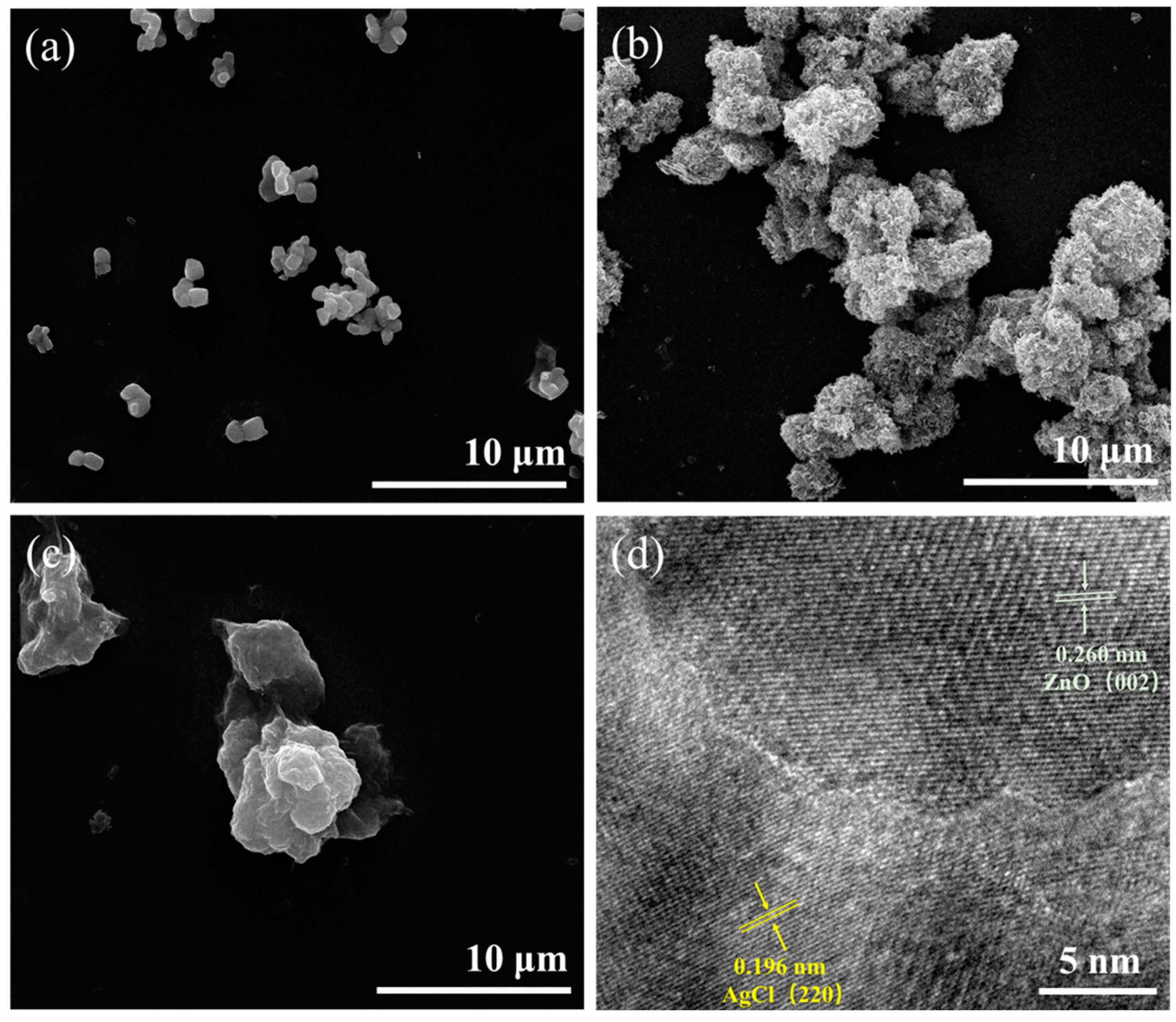 Polymers 16 00754 g003