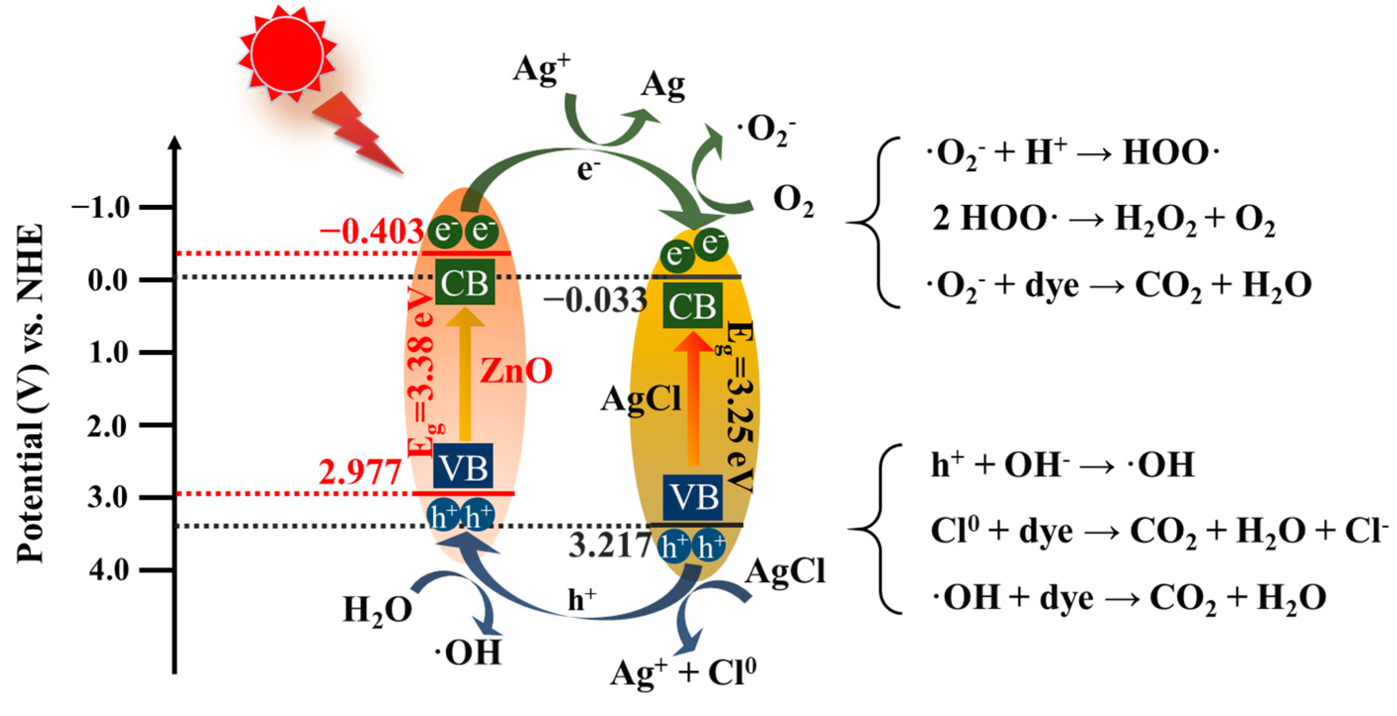 Polymers 16 00754 g013