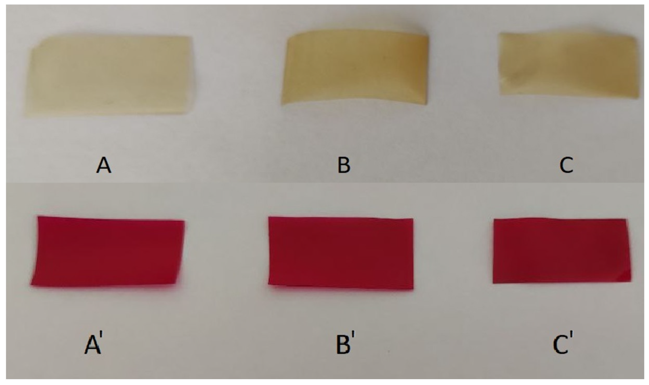 Polymers 16 00755 g001