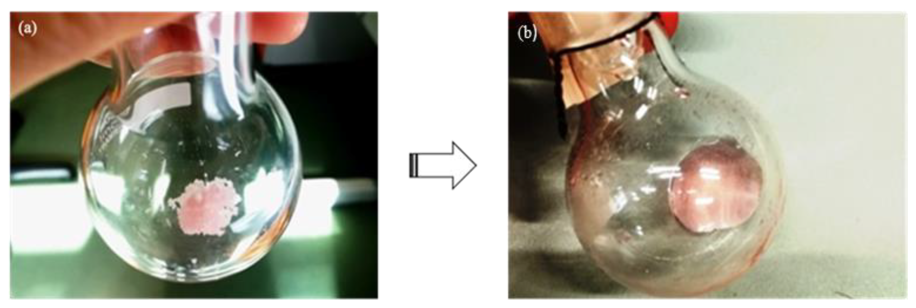 Polymers 16 00757 g002