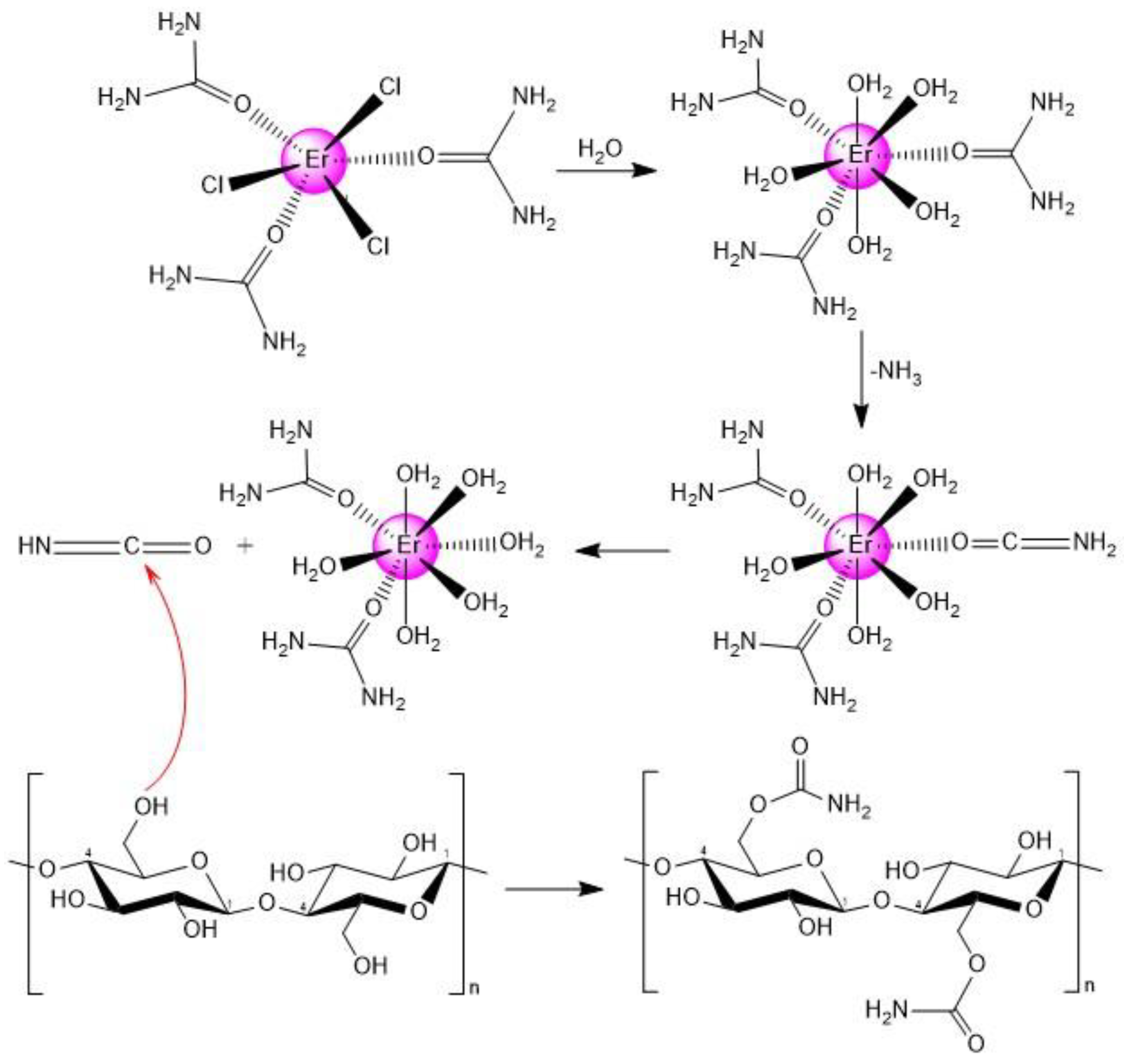 Polymers 16 00757 sch002