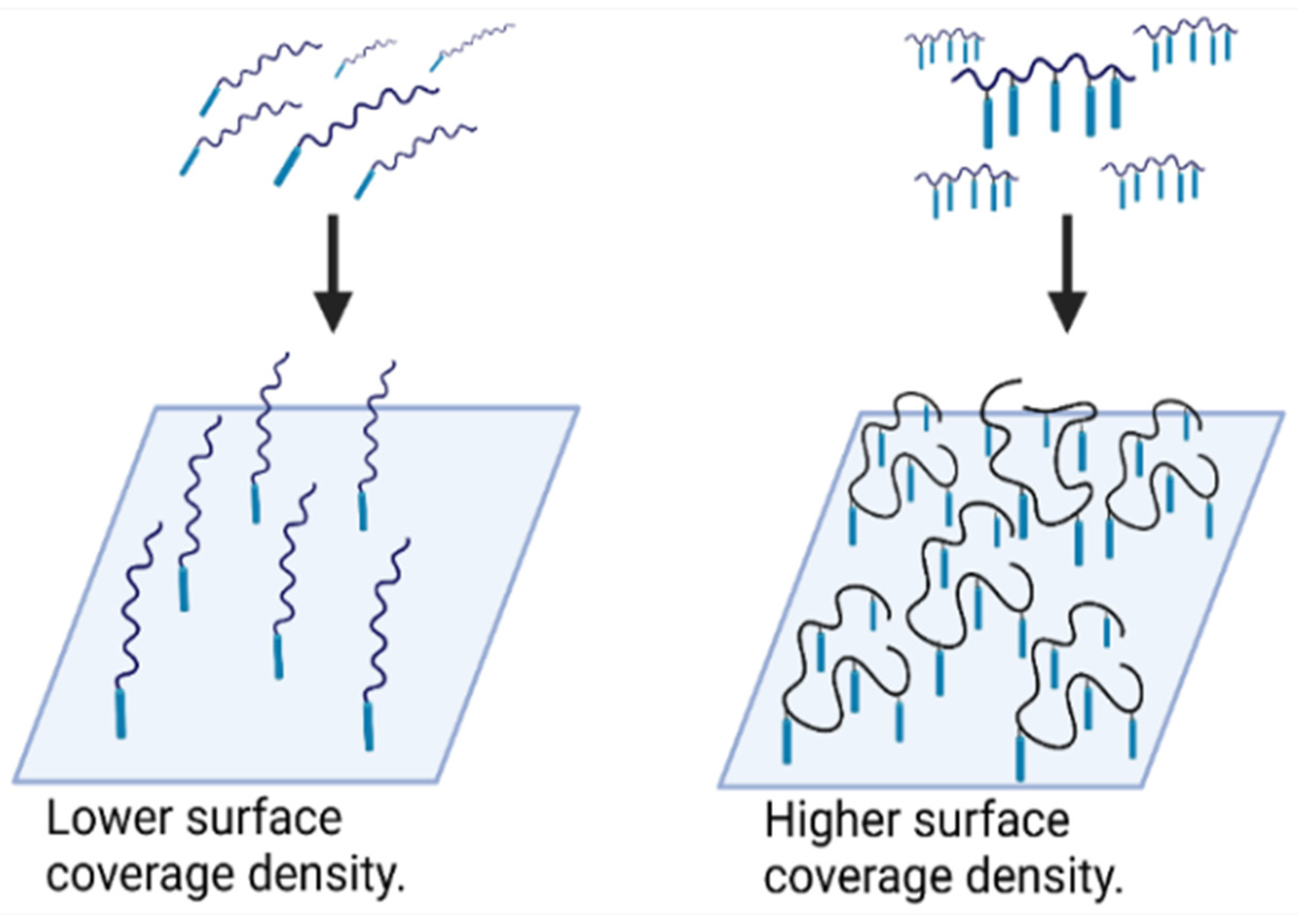 Polymers 16 00758 g008