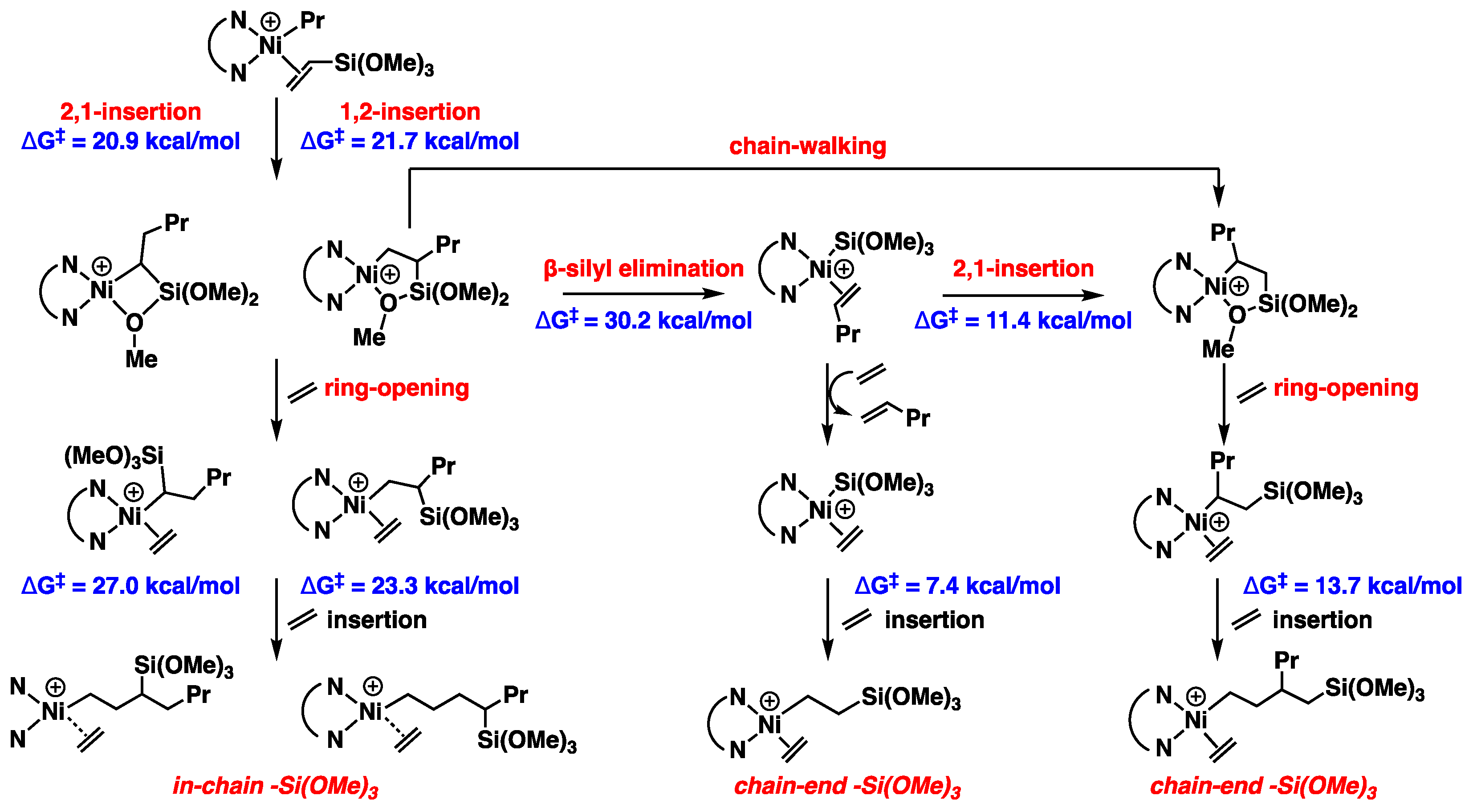 Polymers 16 00762 g007