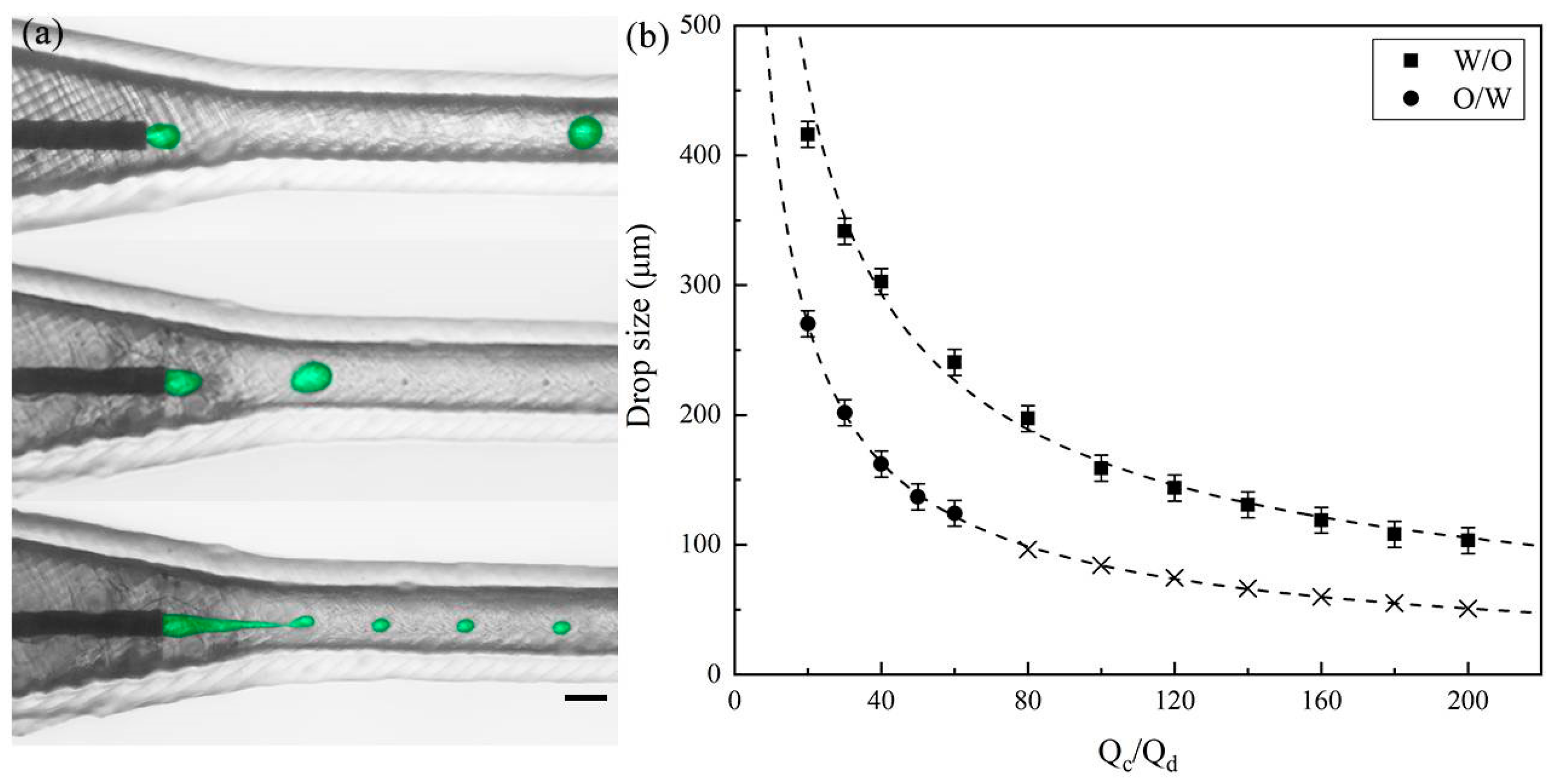Polymers 16 00765 g002