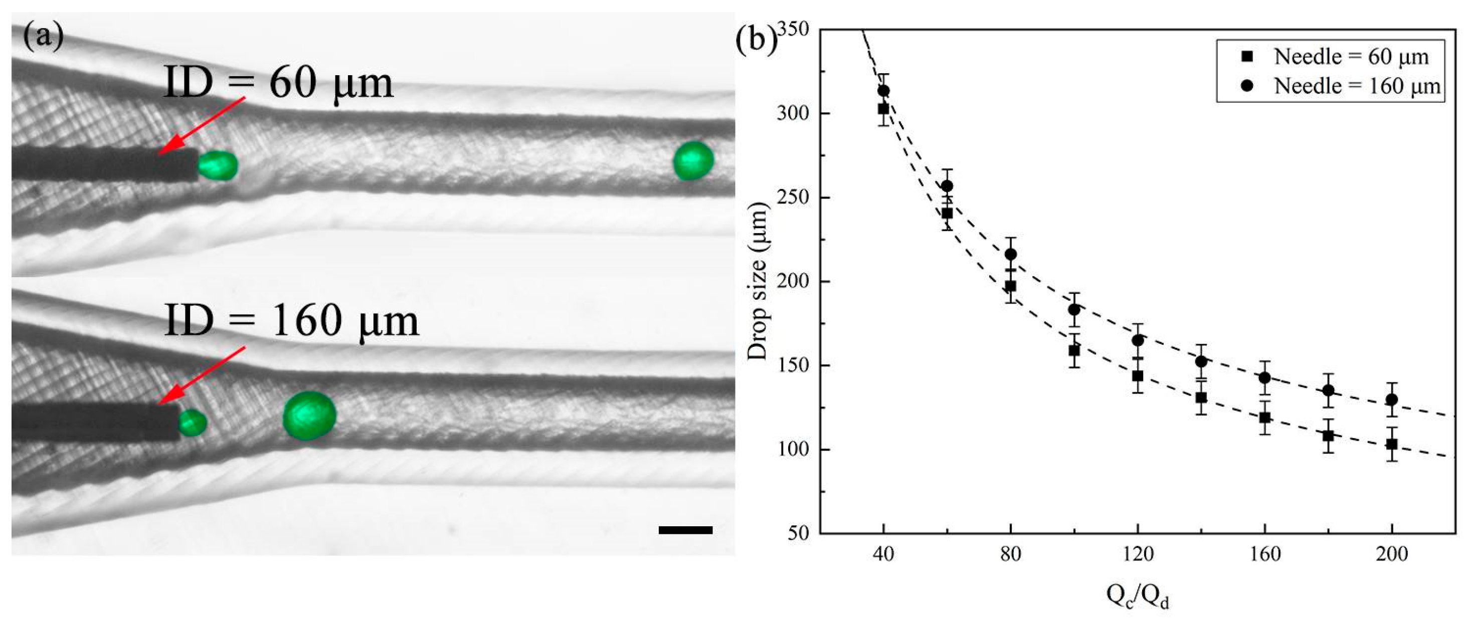 Polymers 16 00765 g003