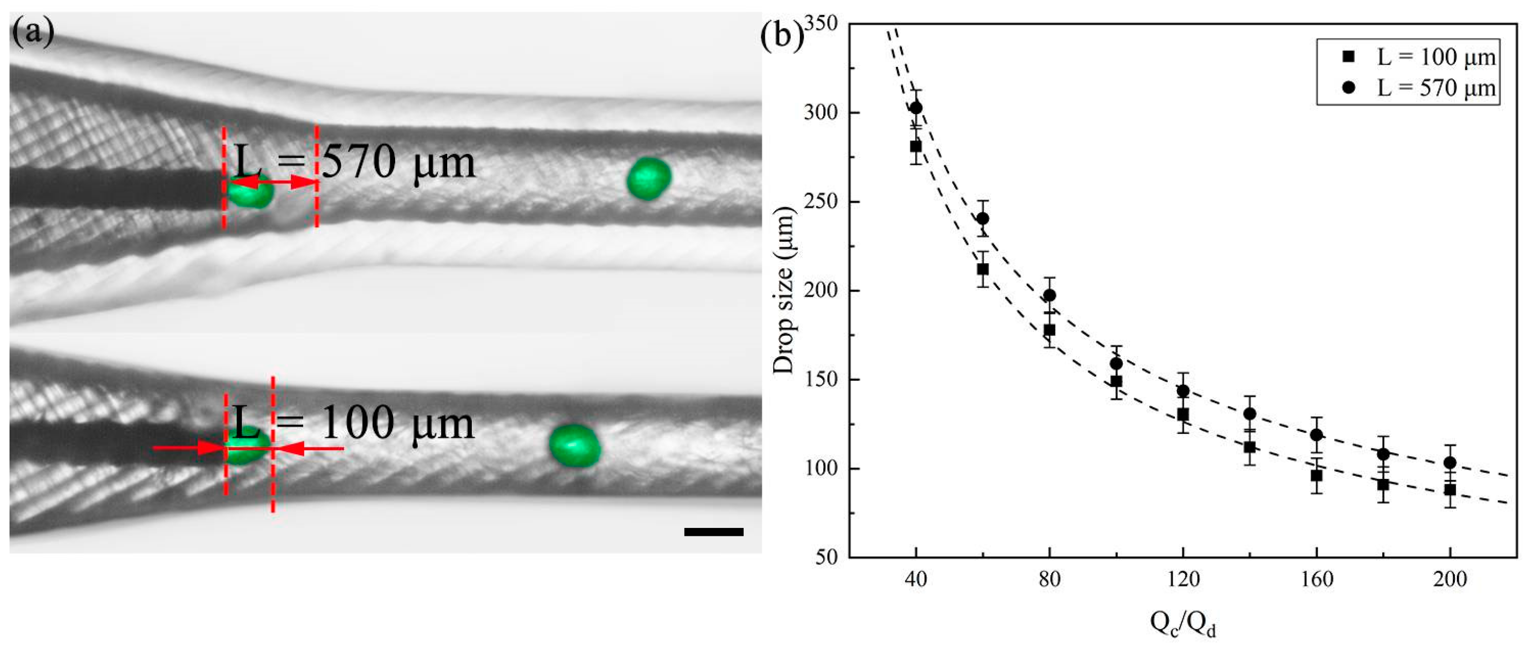 Polymers 16 00765 g004
