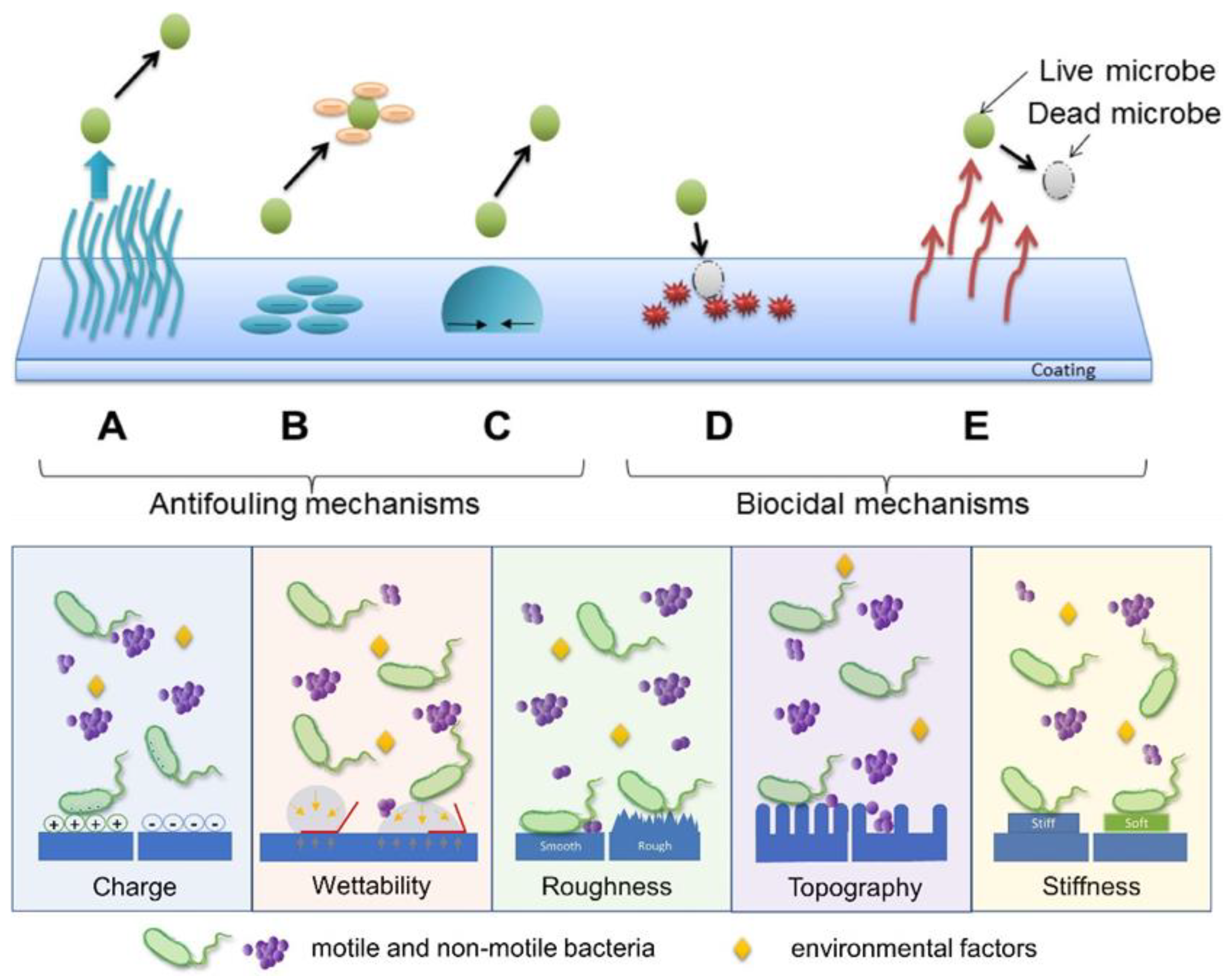 Polymers 16 00771 g002