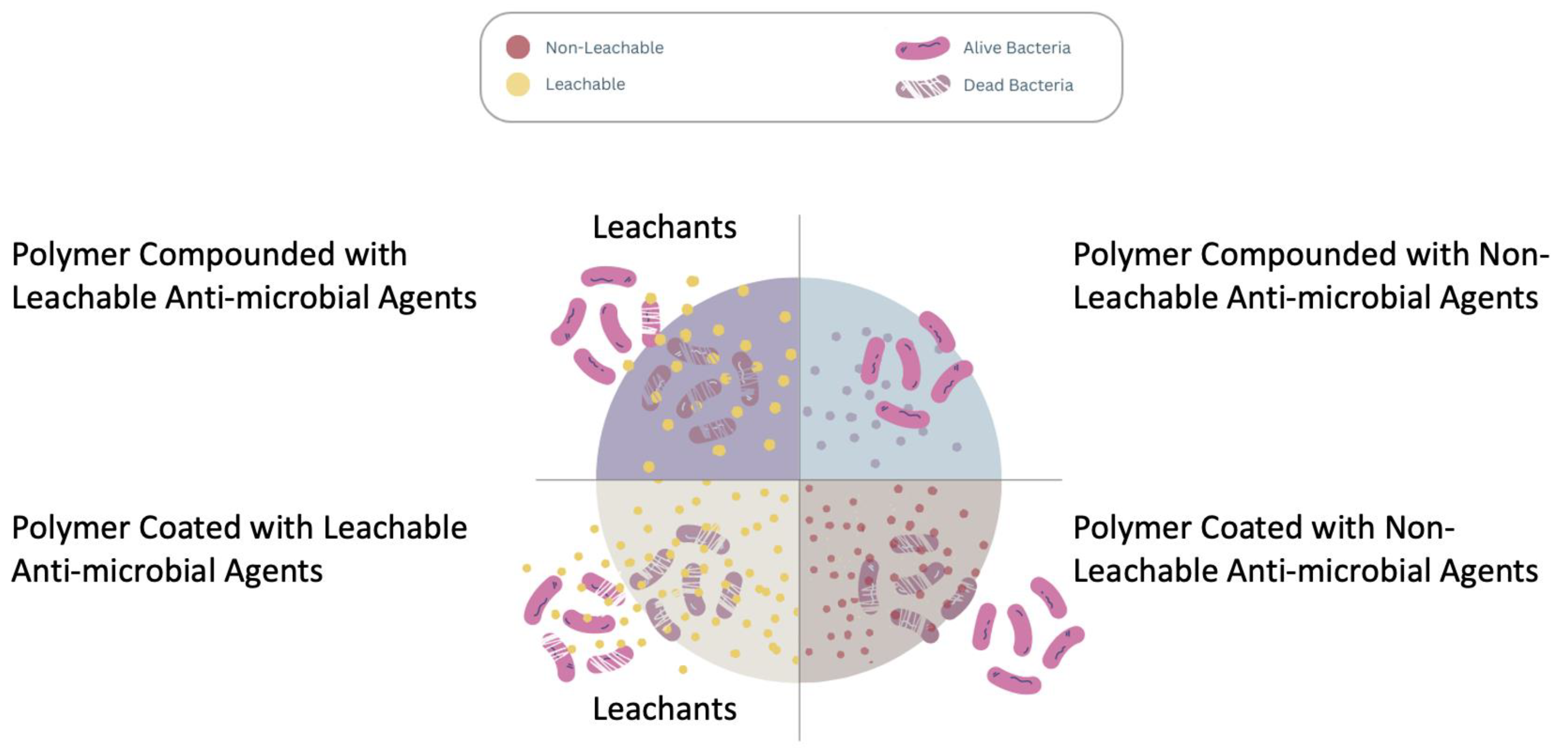 Polymers 16 00771 g006
