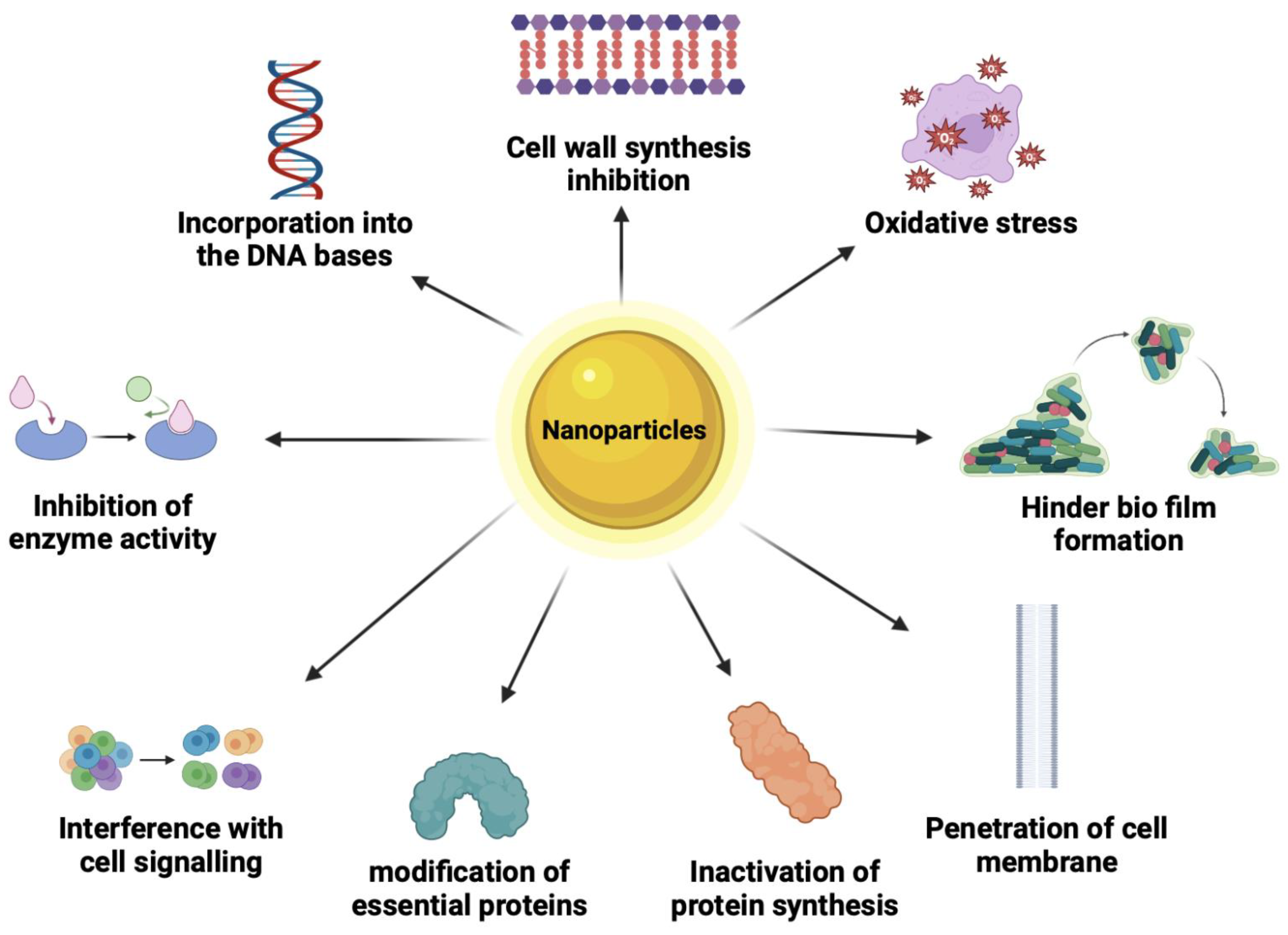 Polymers 16 00771 g007