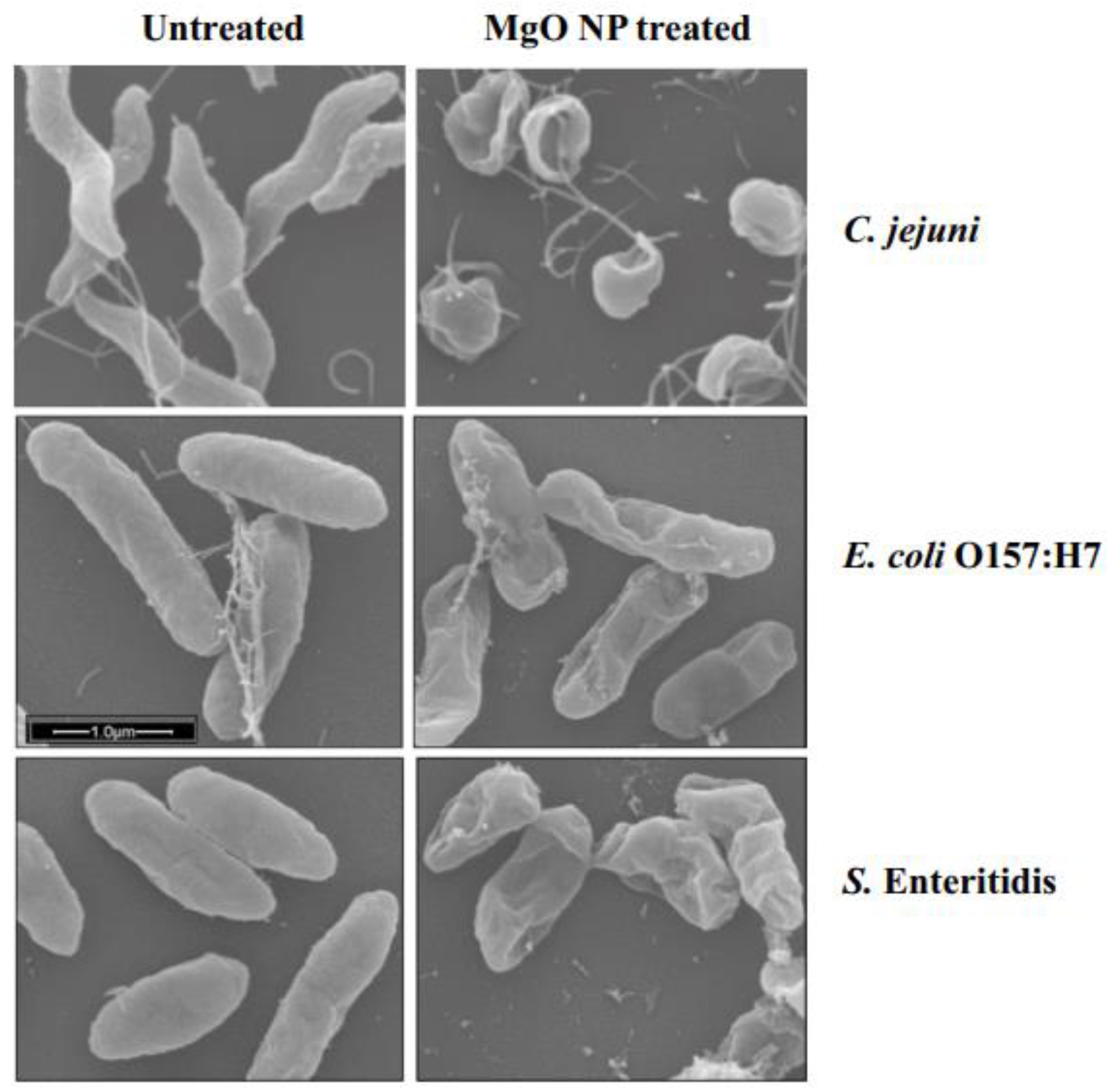 Polymers 16 00771 g010