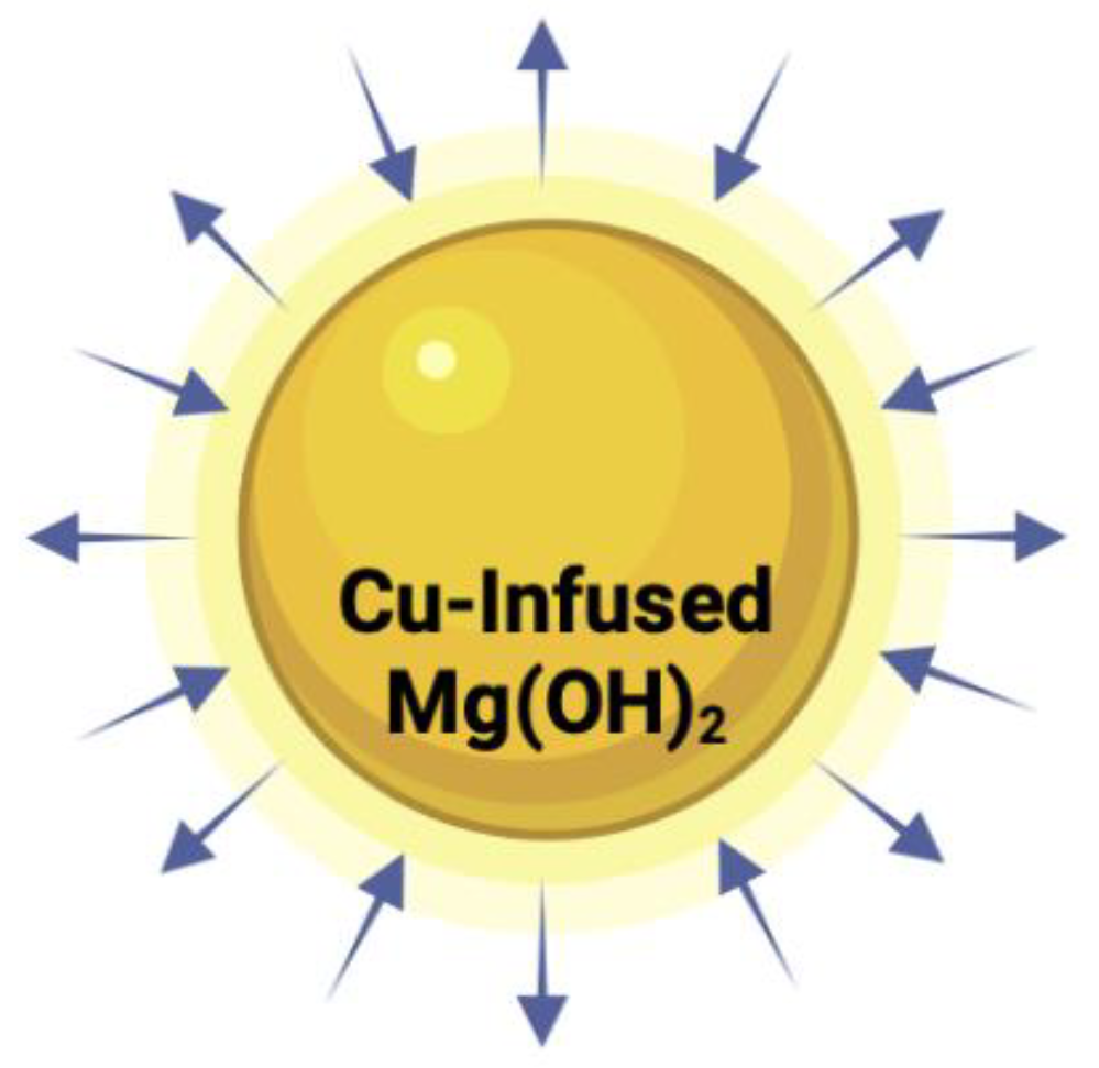 Polymers 16 00771 g014
