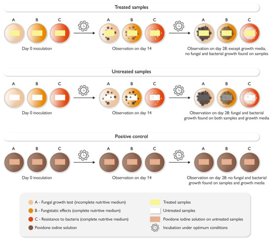 シリアル　10枚 On Antimicrobial Polymers: Development, Mechanism of Action