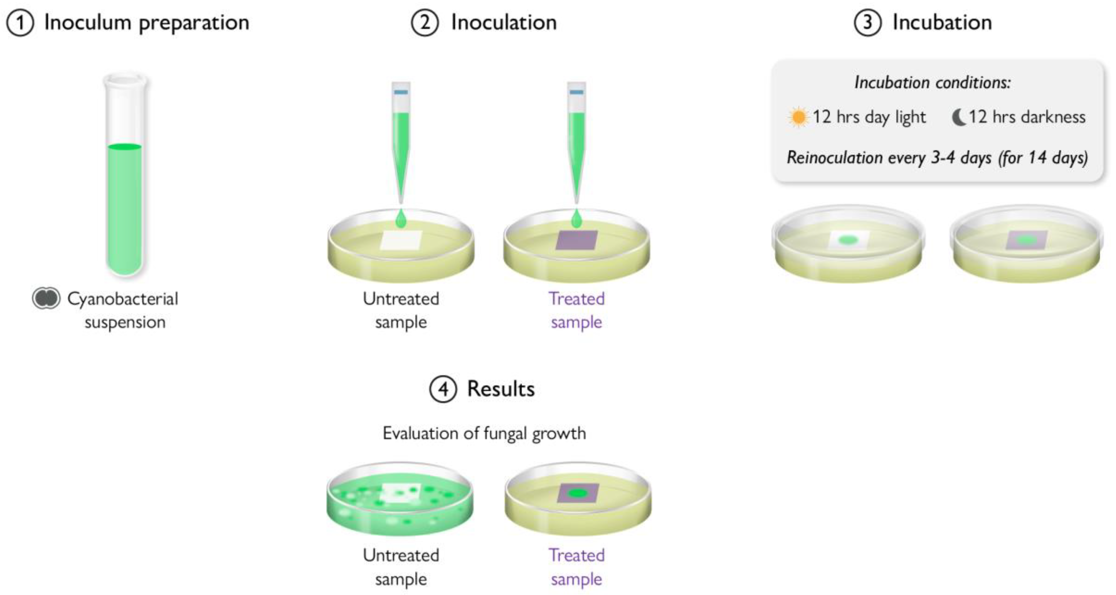 Polymers 16 00771 g025