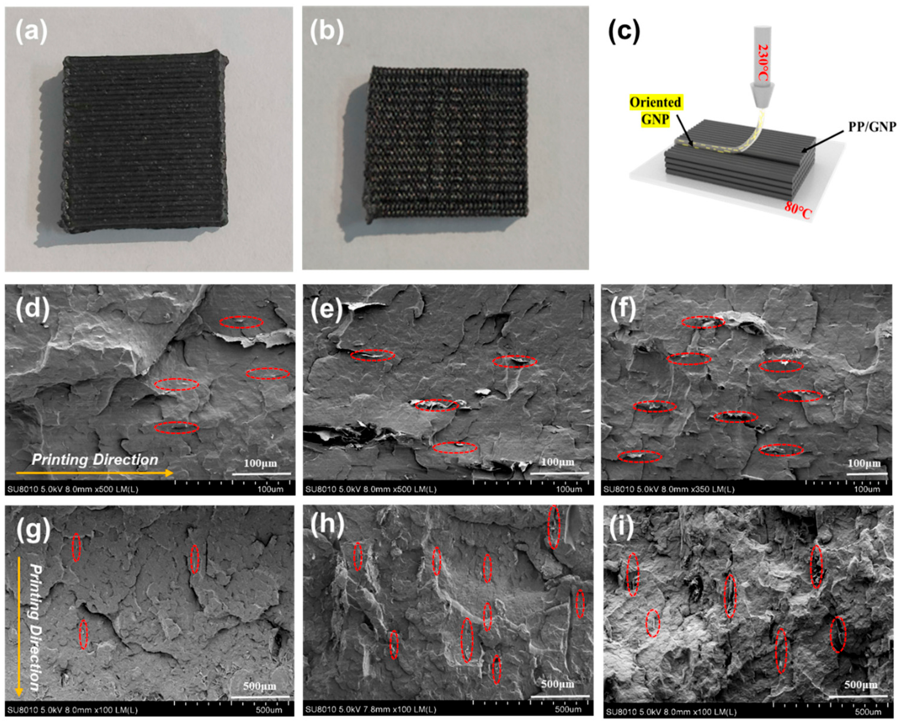 Polymers 16 00772 g004