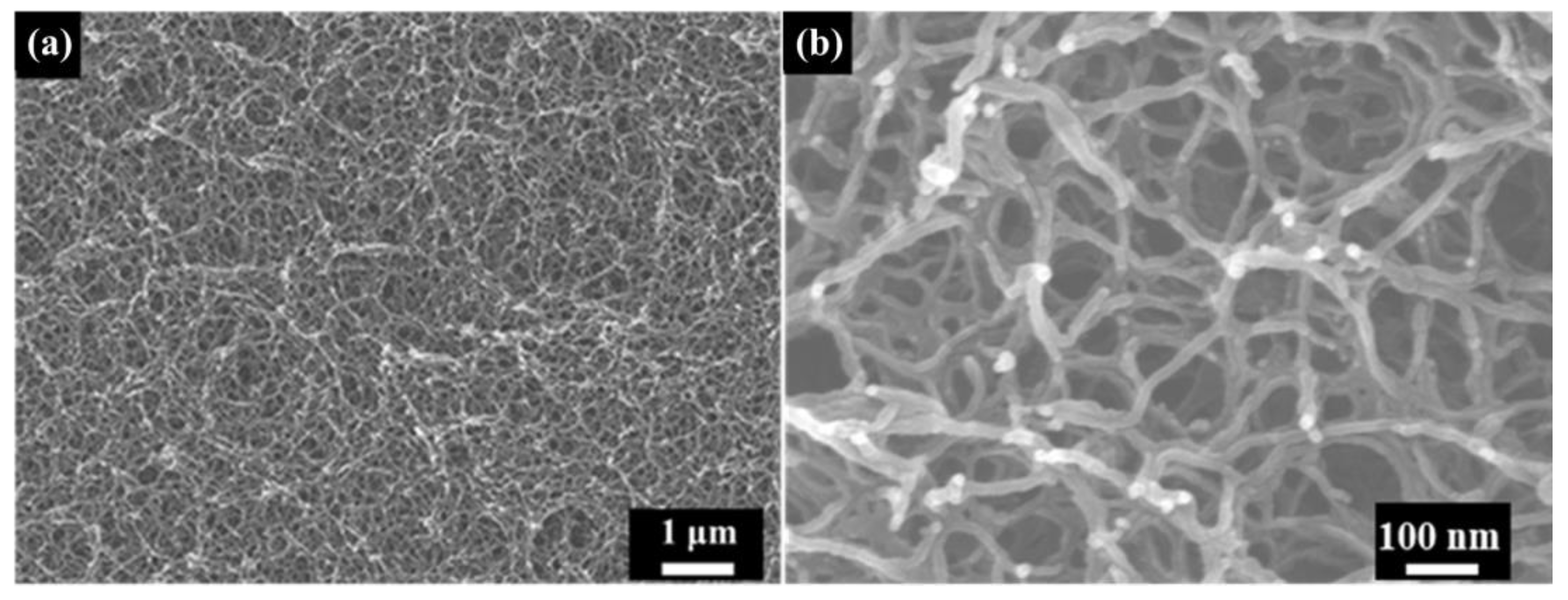 Polymers 16 00773 g002