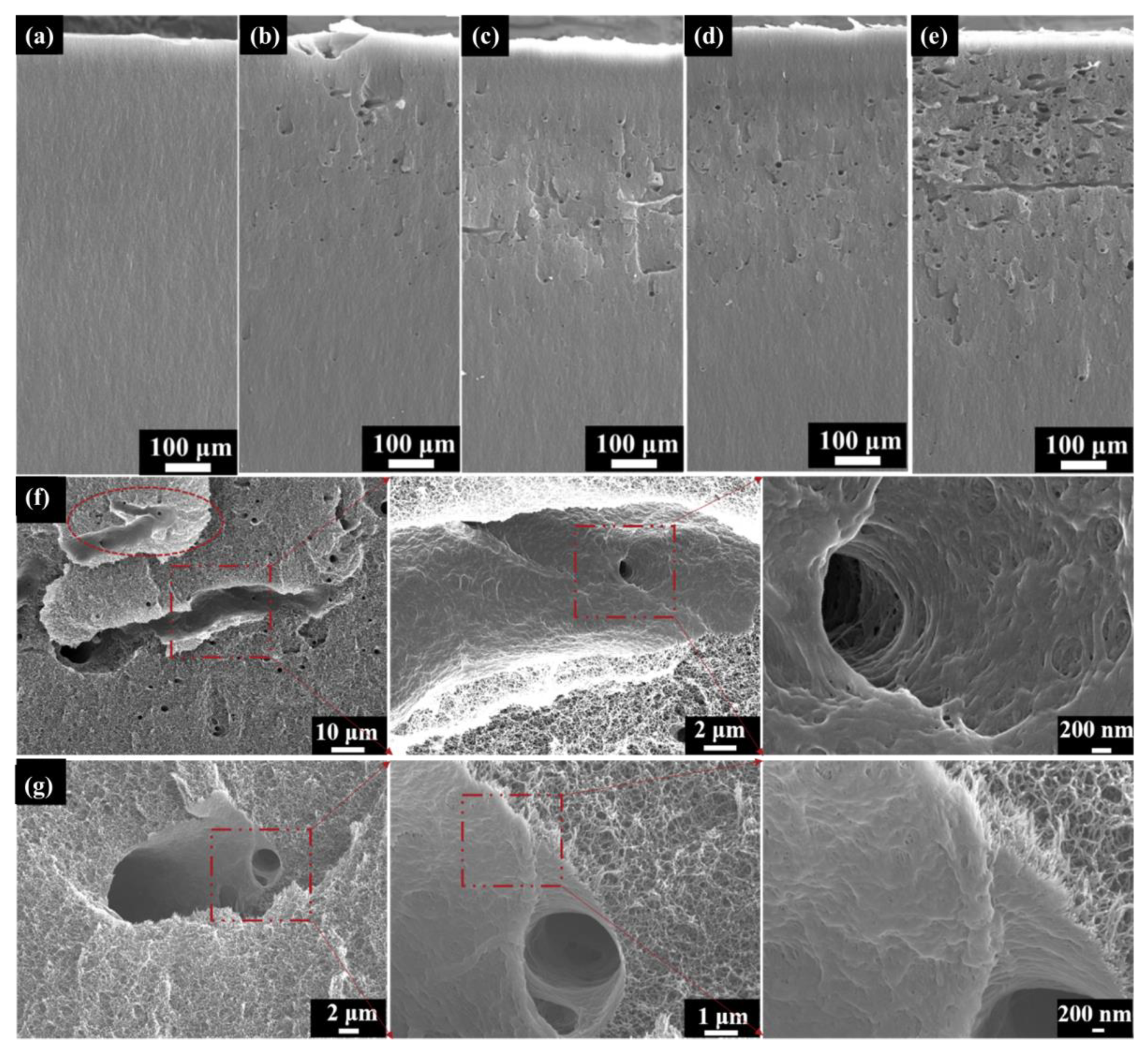 Polymers 16 00773 g006