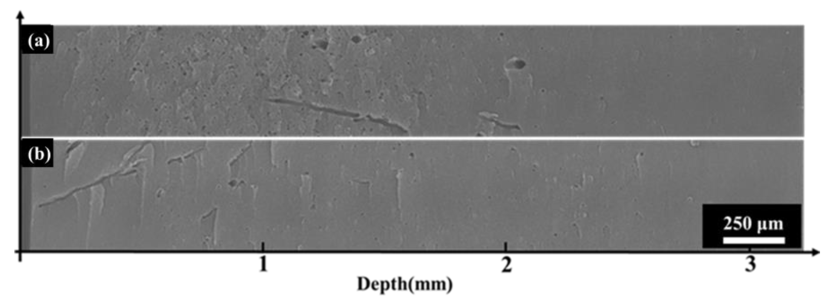 Polymers 16 00773 g011