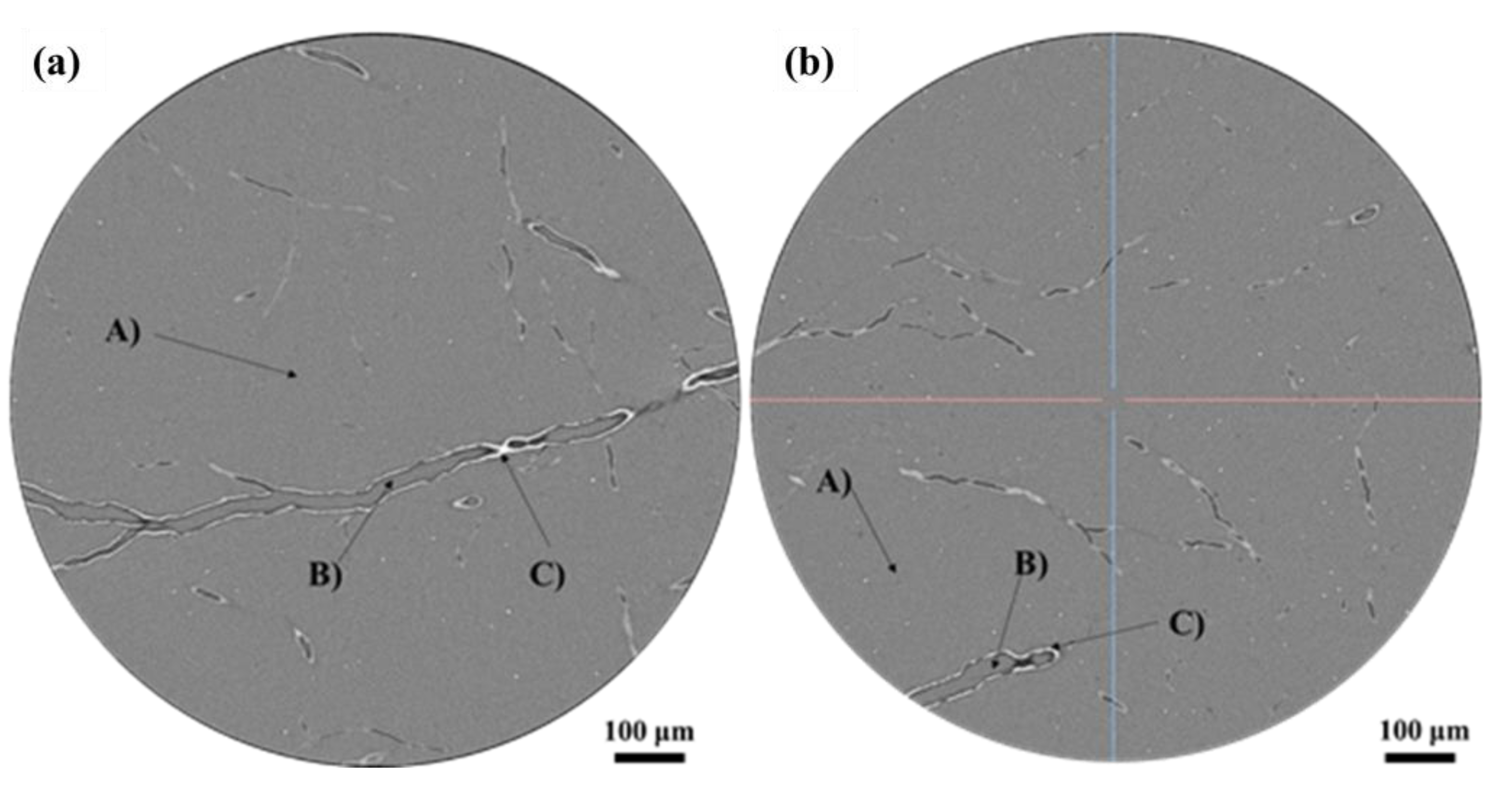 Polymers 16 00773 g012
