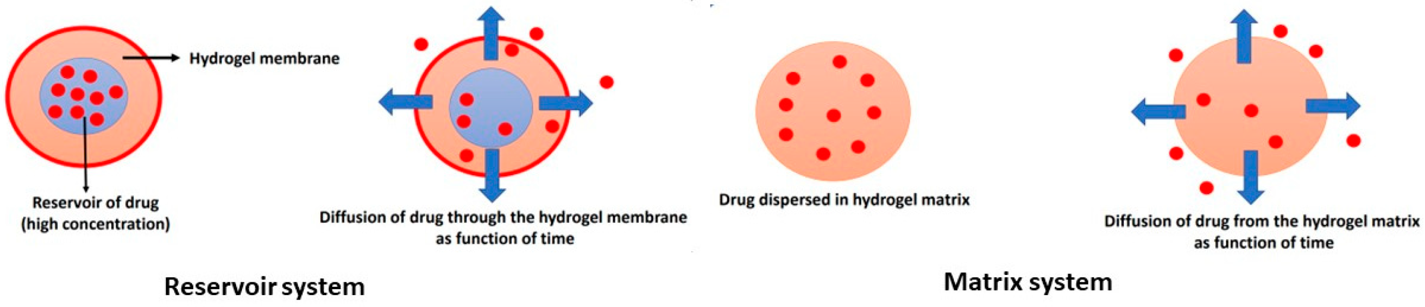 Polymers 16 00775 g007