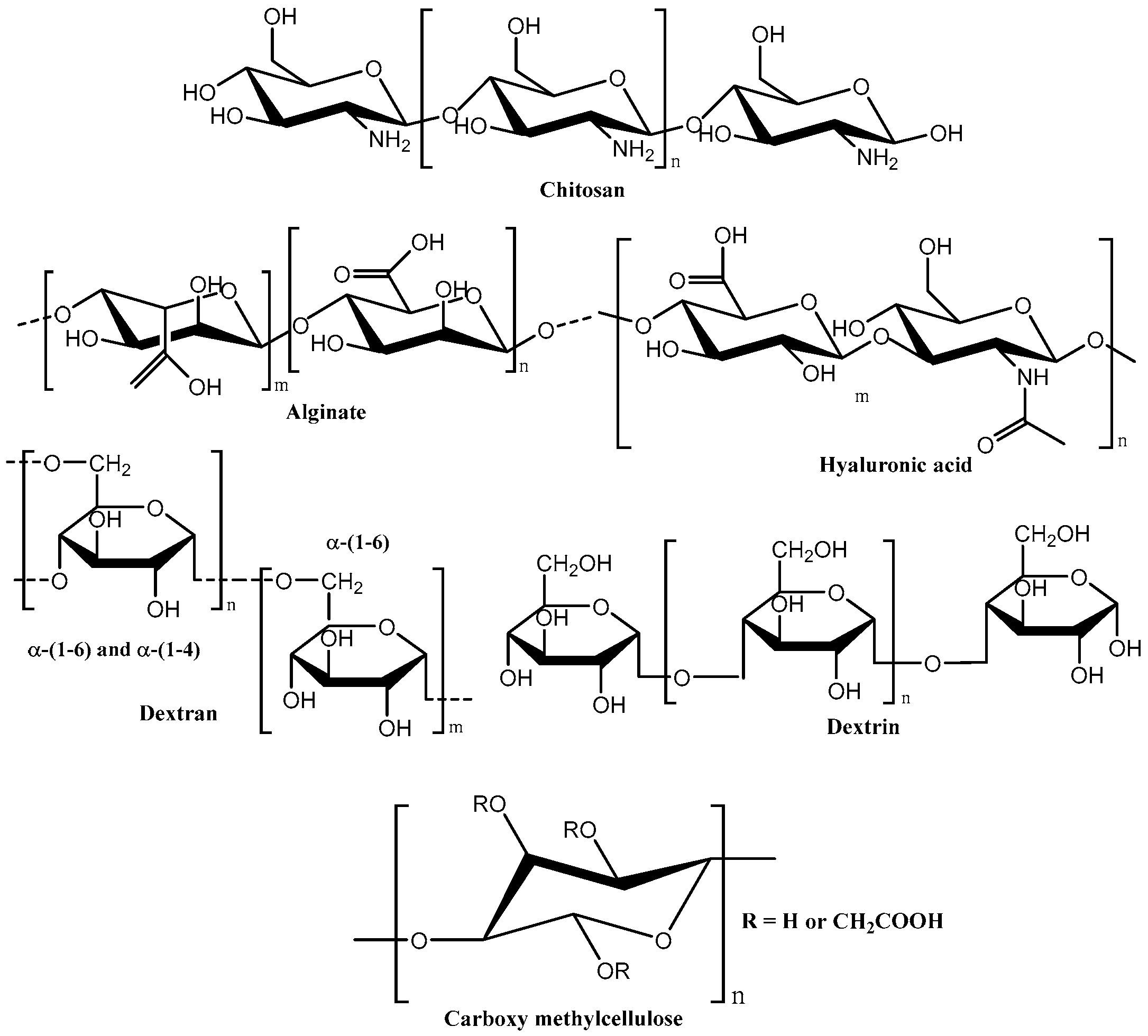 Polymers 16 00775 g009