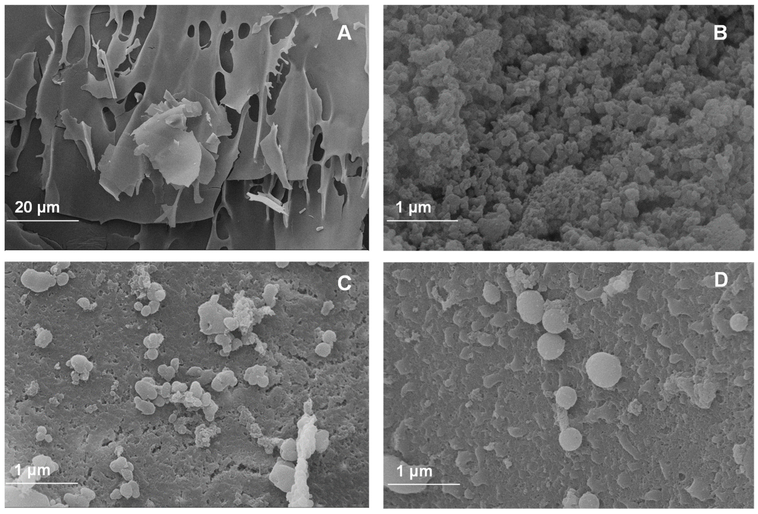 Polymers 16 00777 g001 Polymers 16 00777 g001