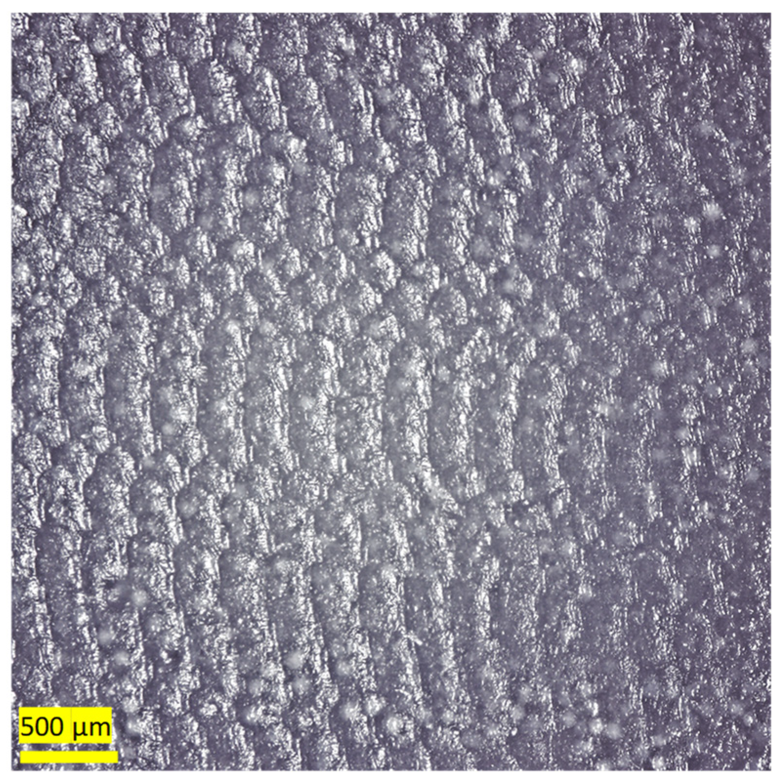 Polymers 16 00785 g013