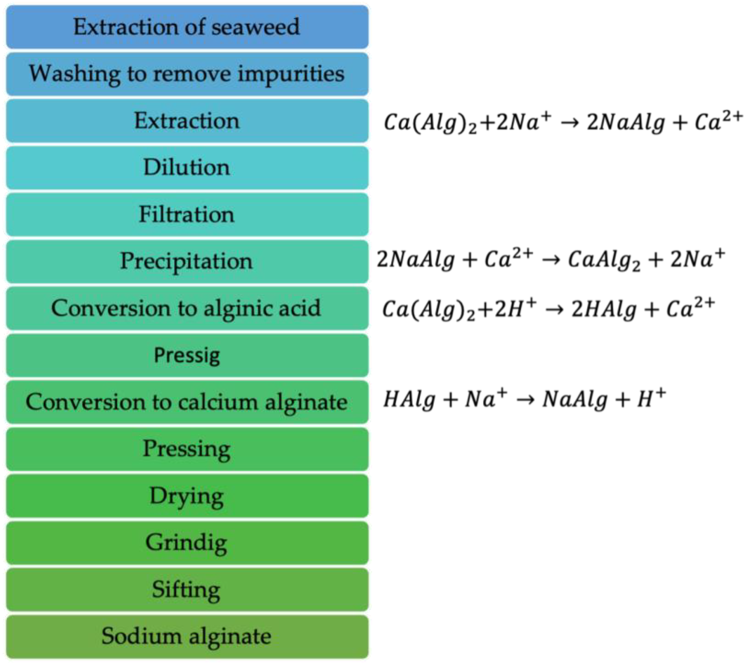 Polymers 16 00788 g002