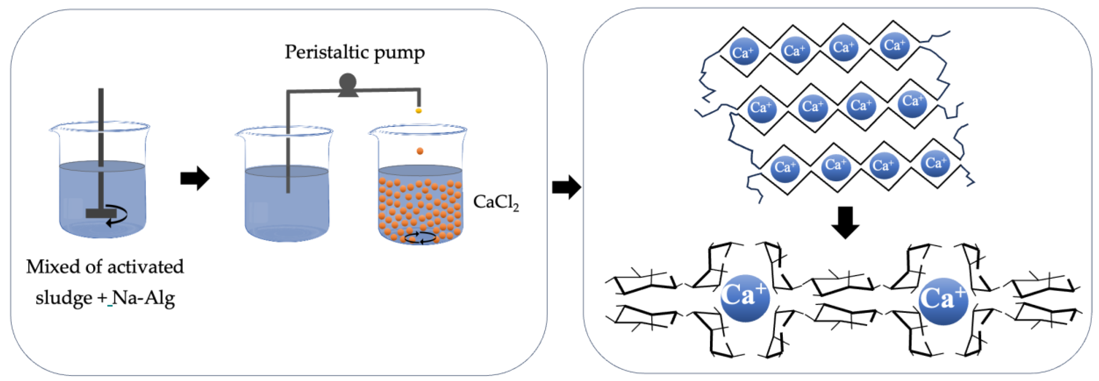 Polymers 16 00788 g006
