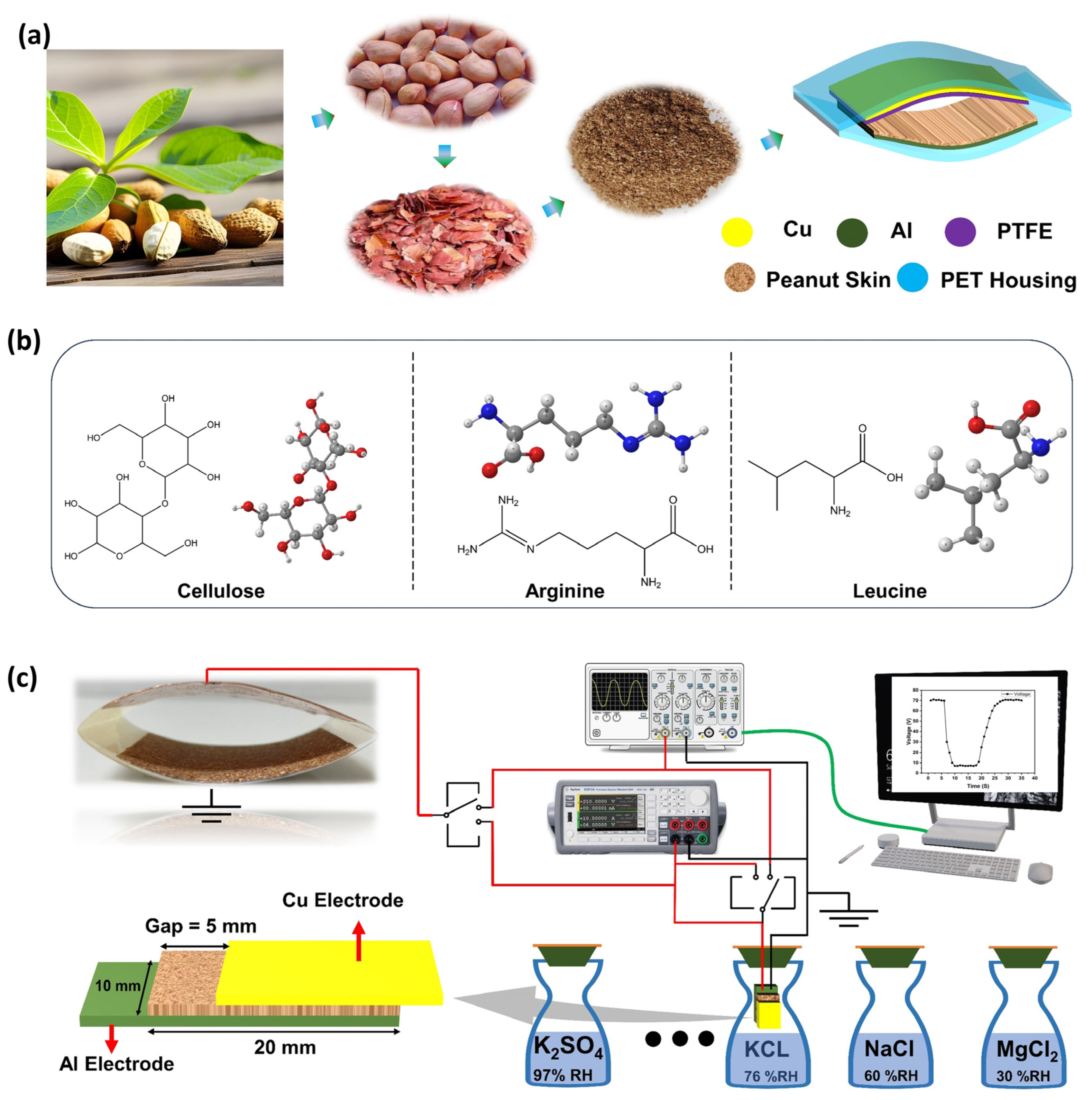 Polymers 16 00790 g001