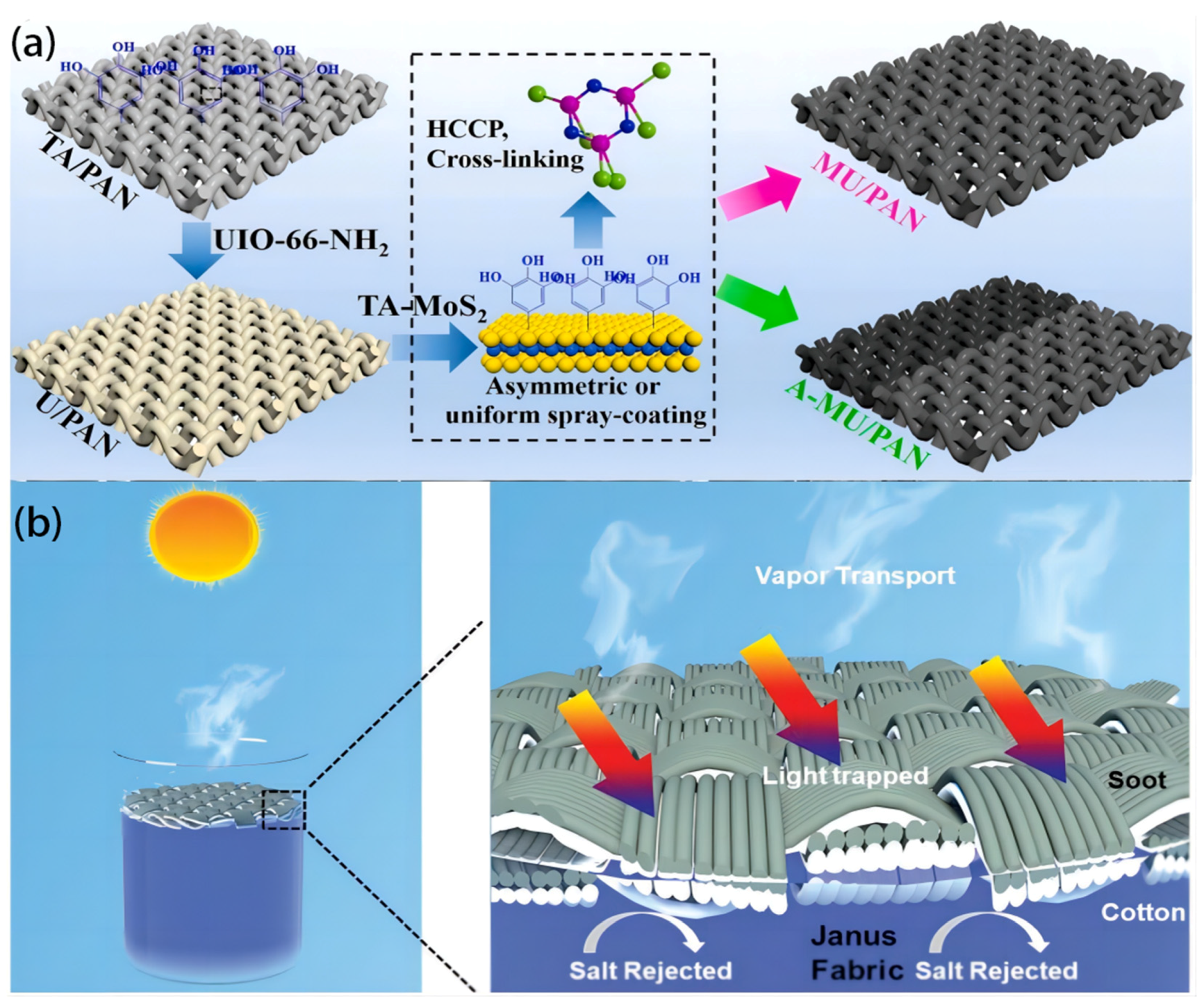 Polymers 16 00793 g008