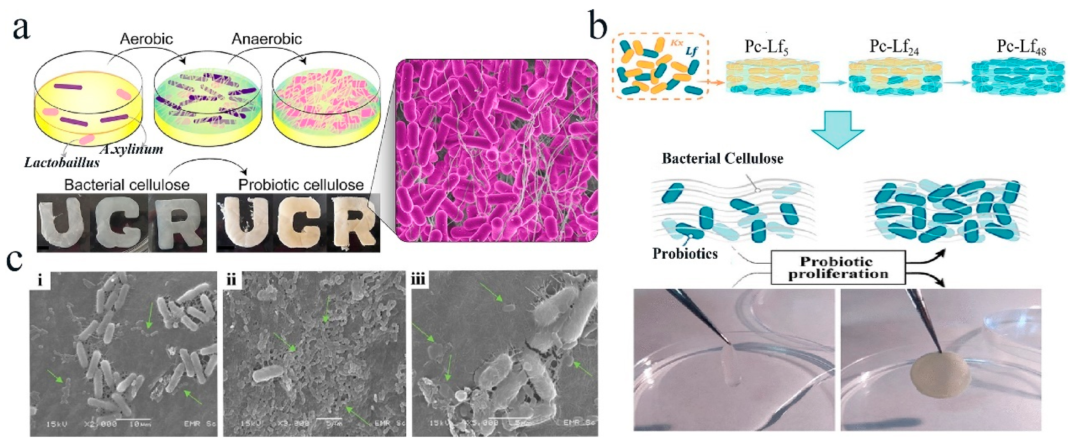 Polymers 16 00794 g005