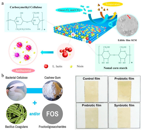 Delivery of Probiotics with Cellulose-Based Films and Their