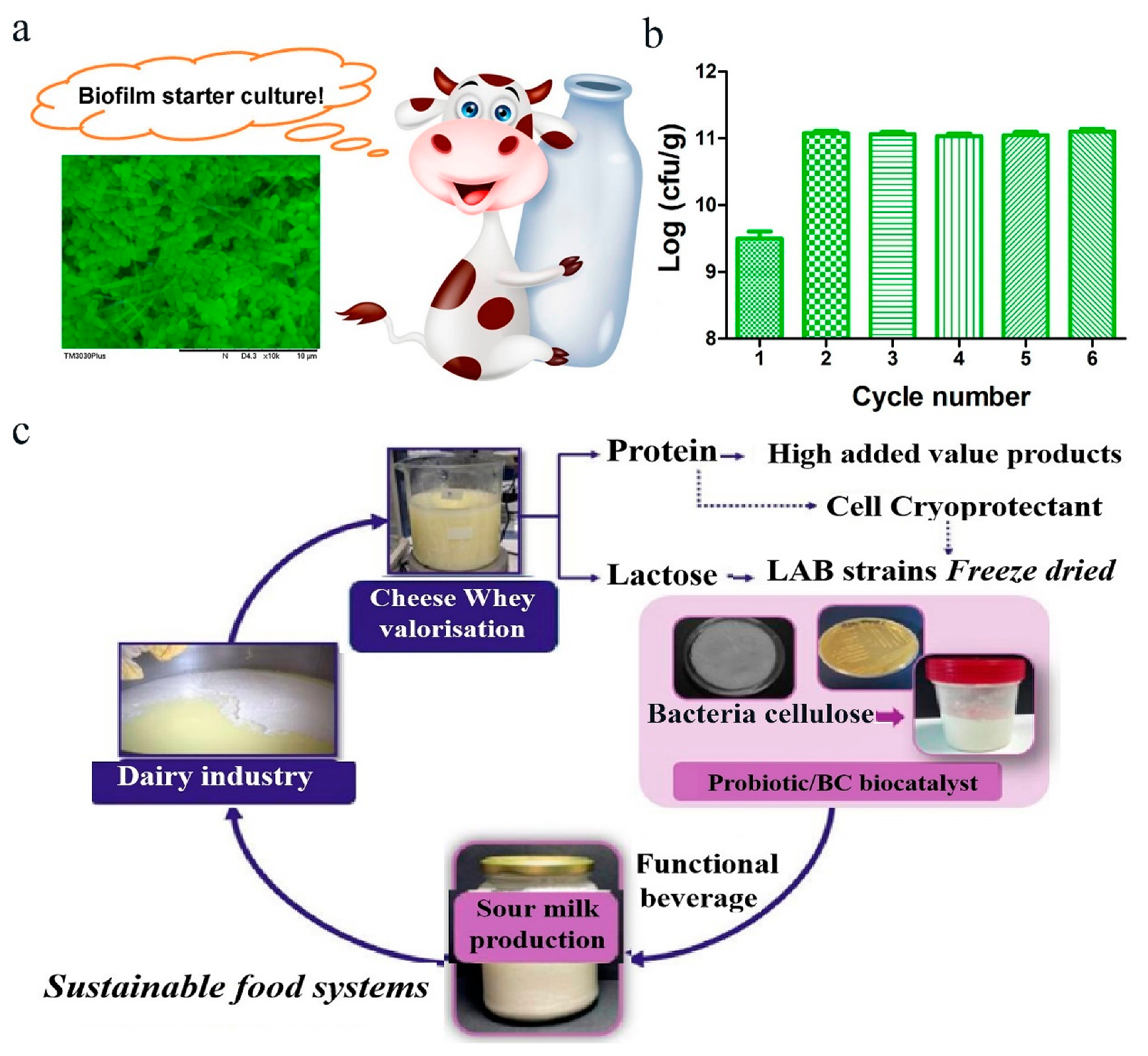 Polymers 16 00794 g008