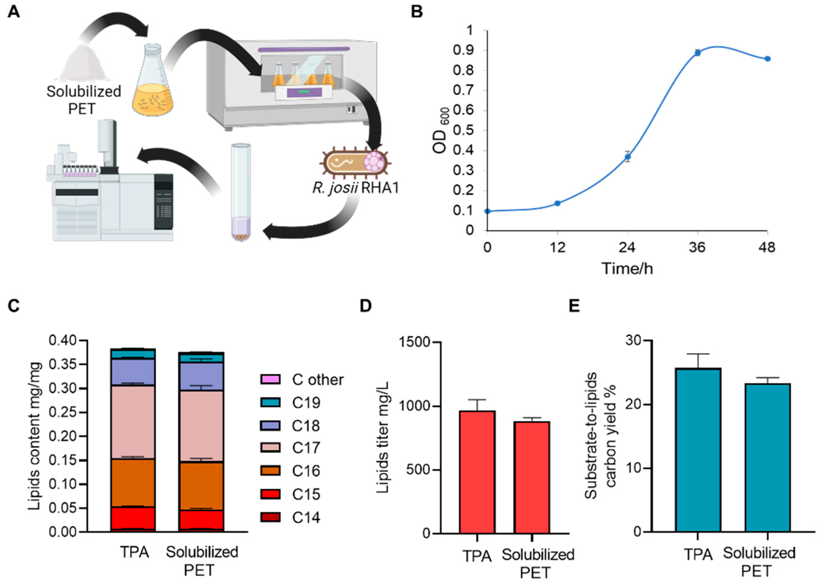Polymers 16 00796 g002