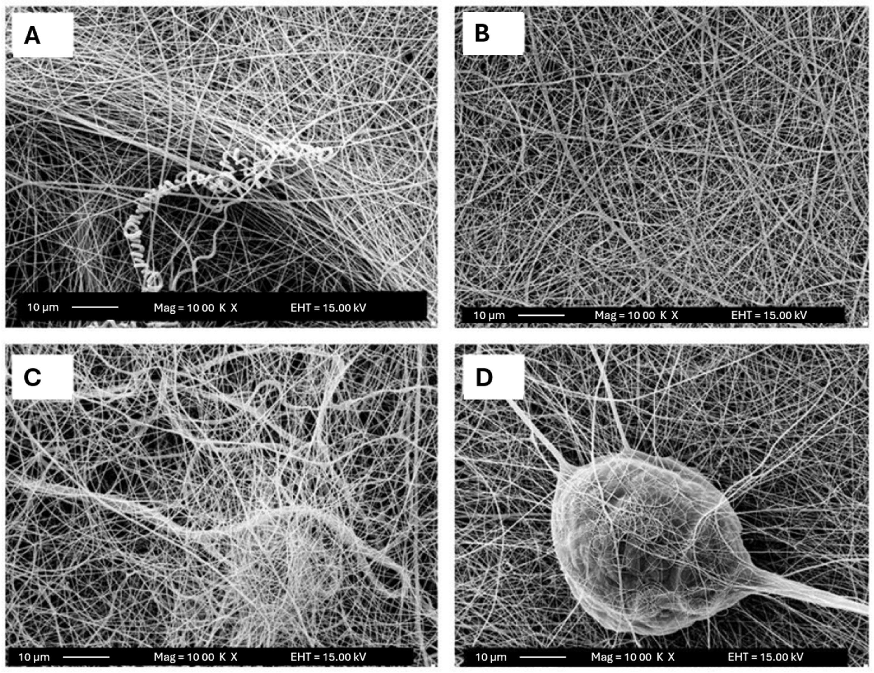 Polymers 16 00801 g006