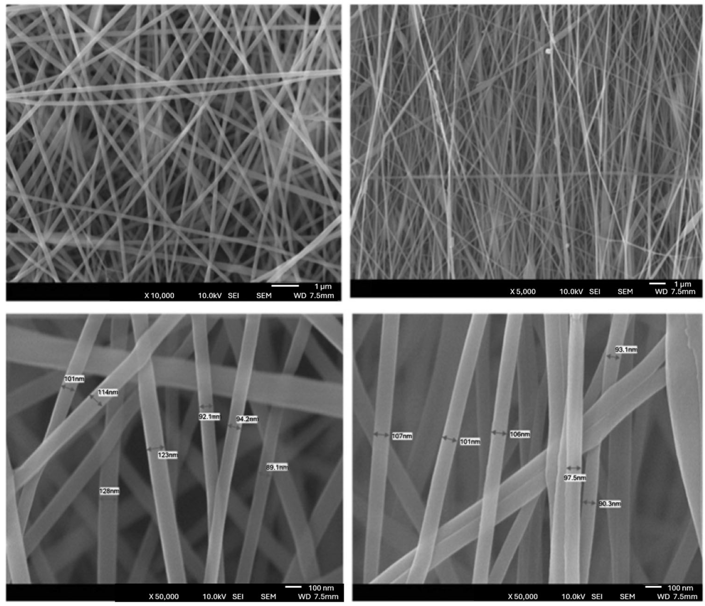 Polymers 16 00801 g011