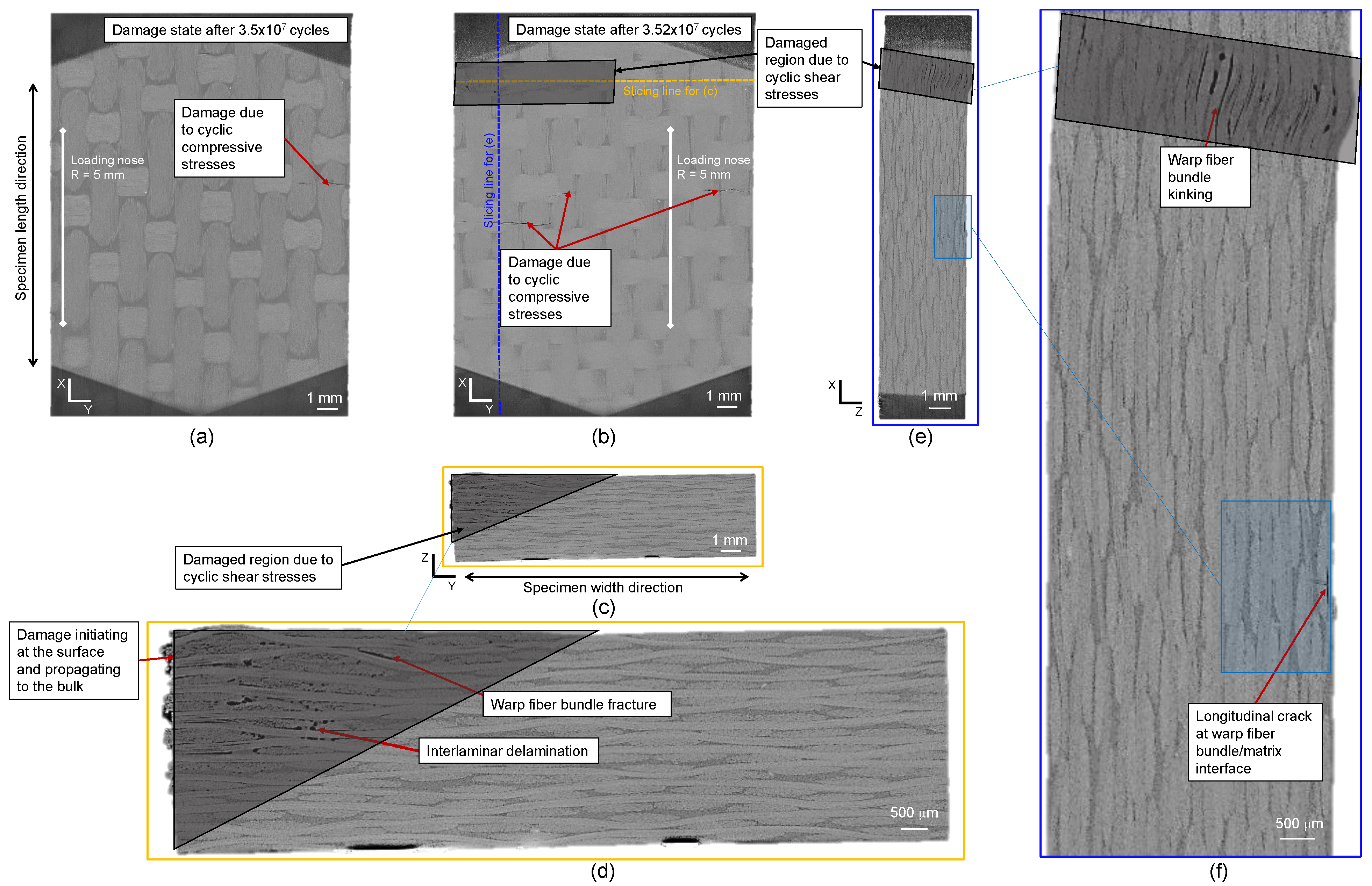 Polymers 16 00803 g014