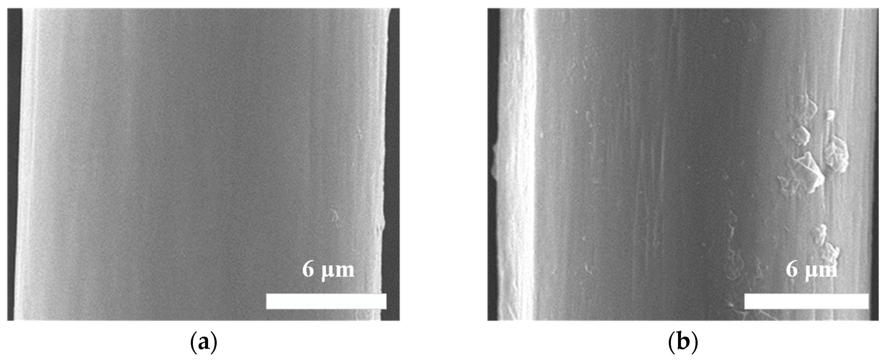 Polymers 16 00804 g002