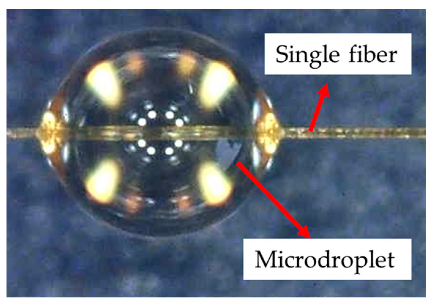 Polymers 16 00804 g005
