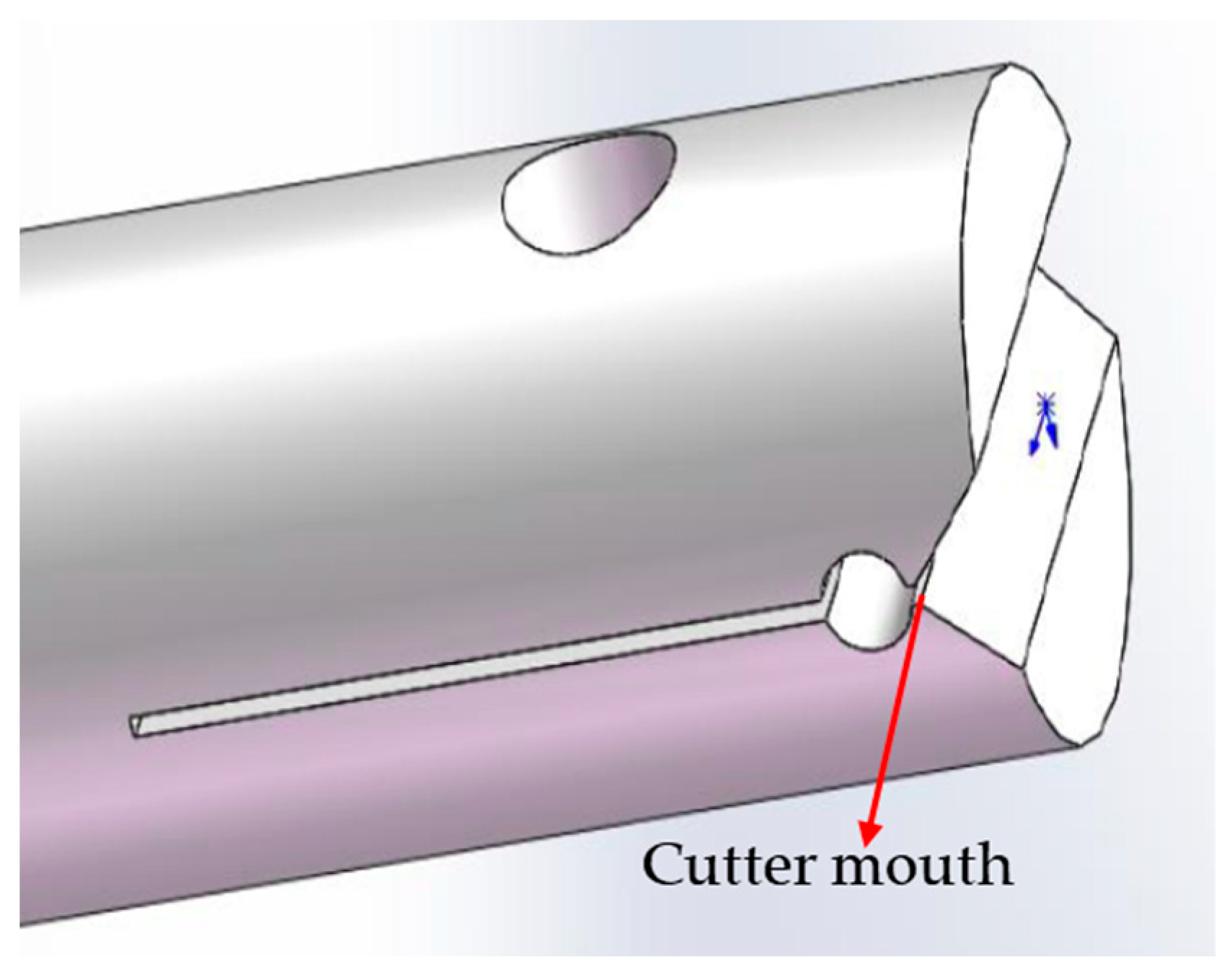 Polymers 16 00804 g006