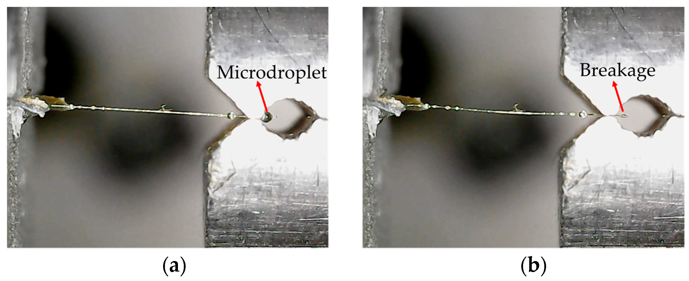 Polymers 16 00804 g010