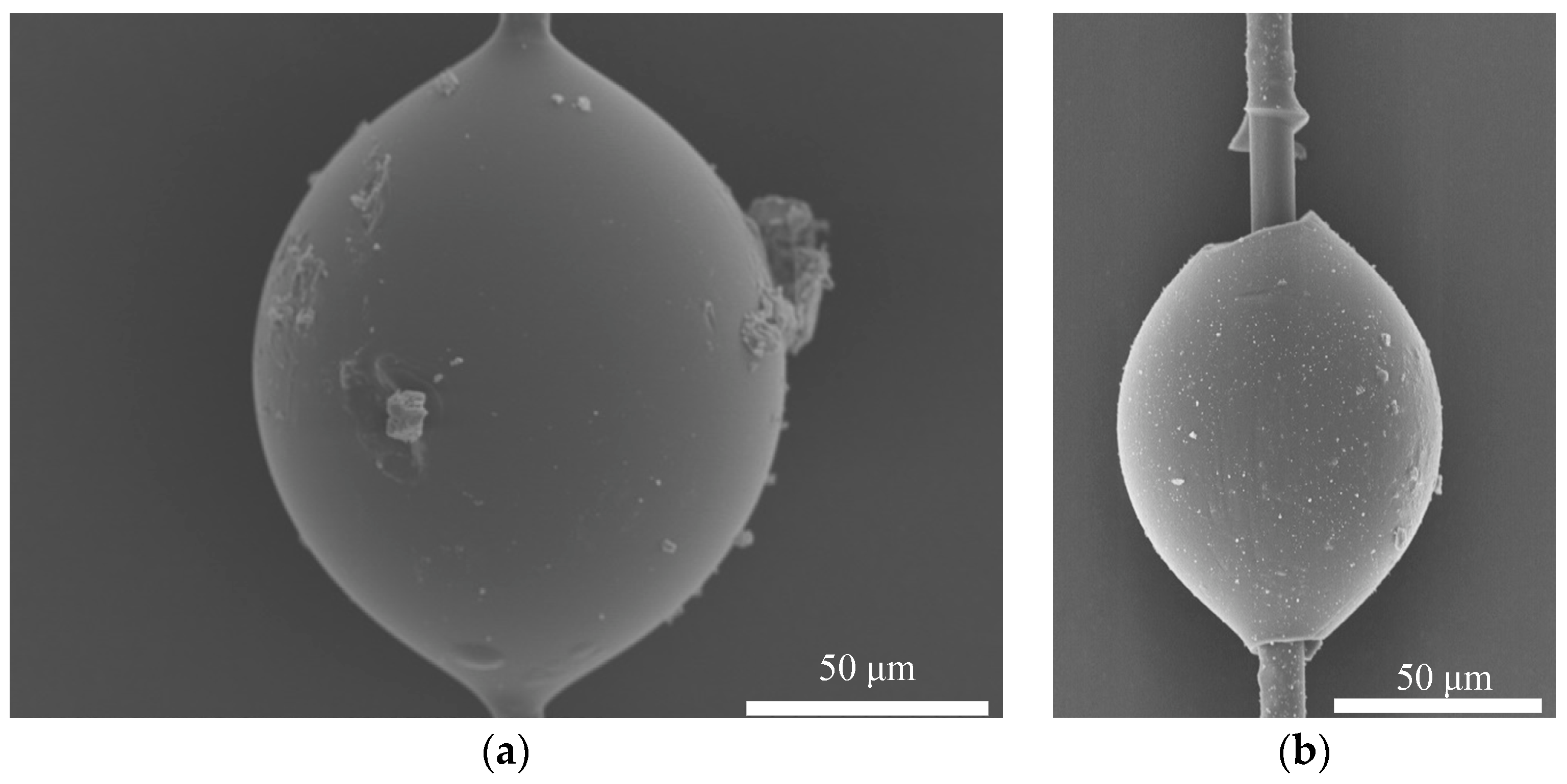 Polymers 16 00804 g012