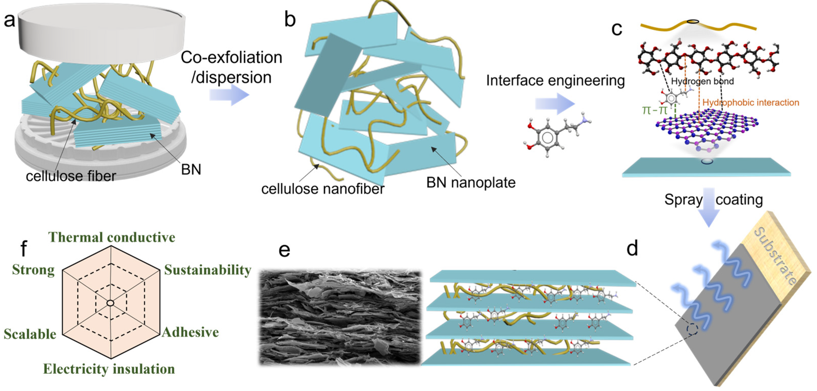 Polymers 16 00805 g001
