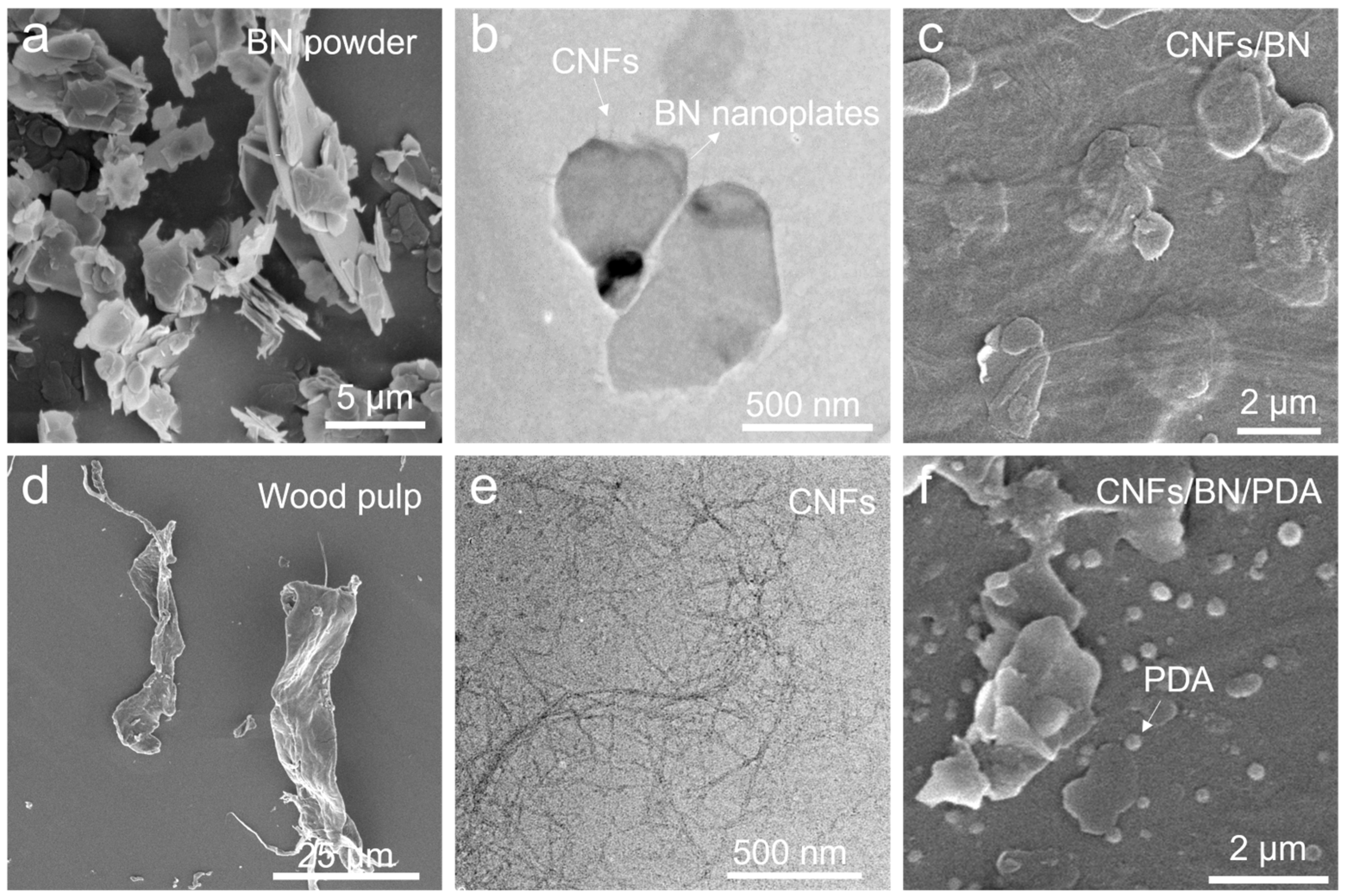 Polymers 16 00805 g002