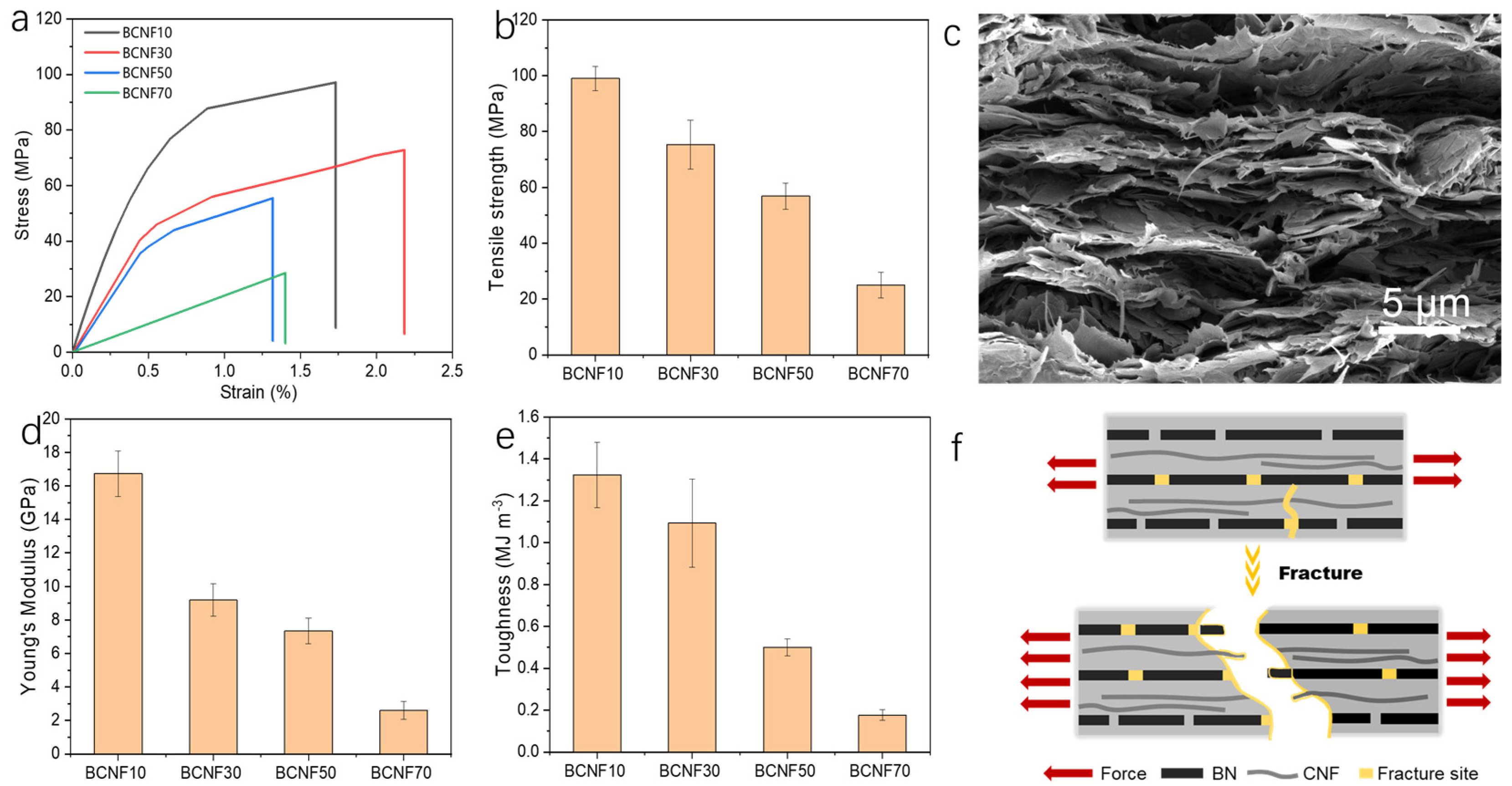 Polymers 16 00805 g005