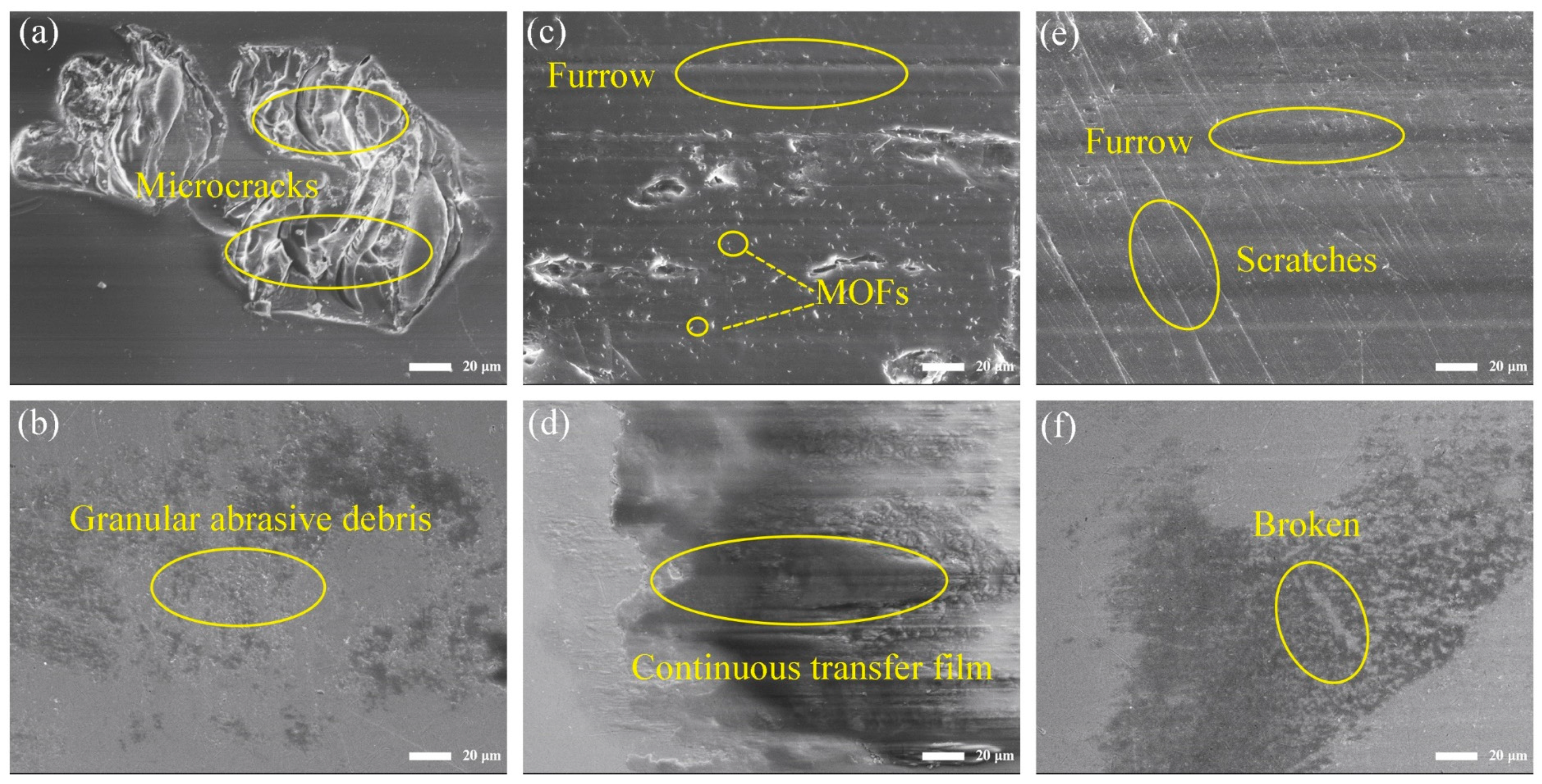 Polymers 16 00806 g004