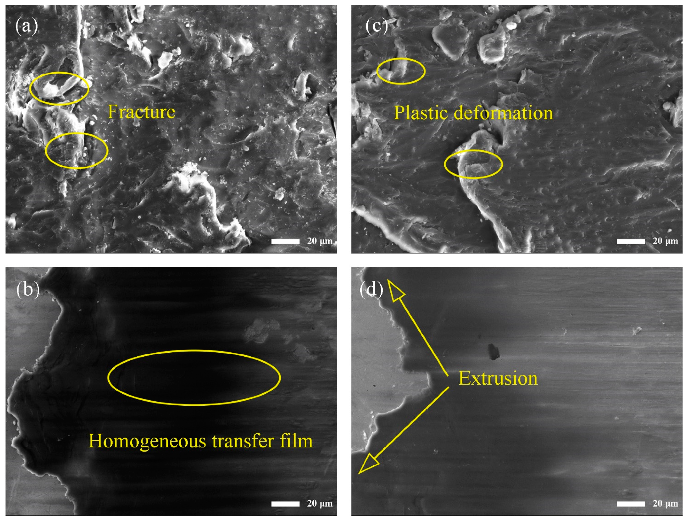 Polymers 16 00806 g006