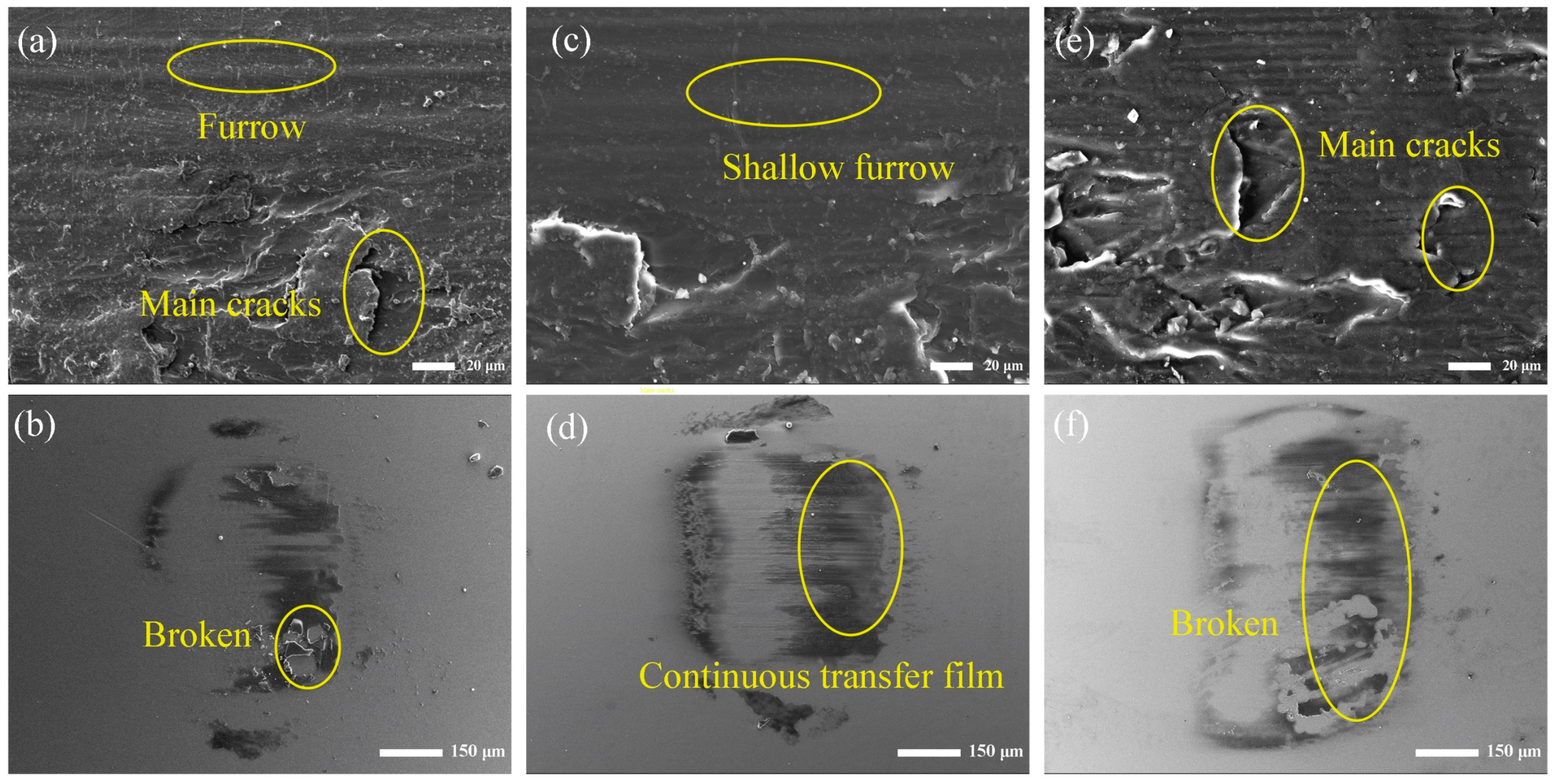 Polymers 16 00806 g008