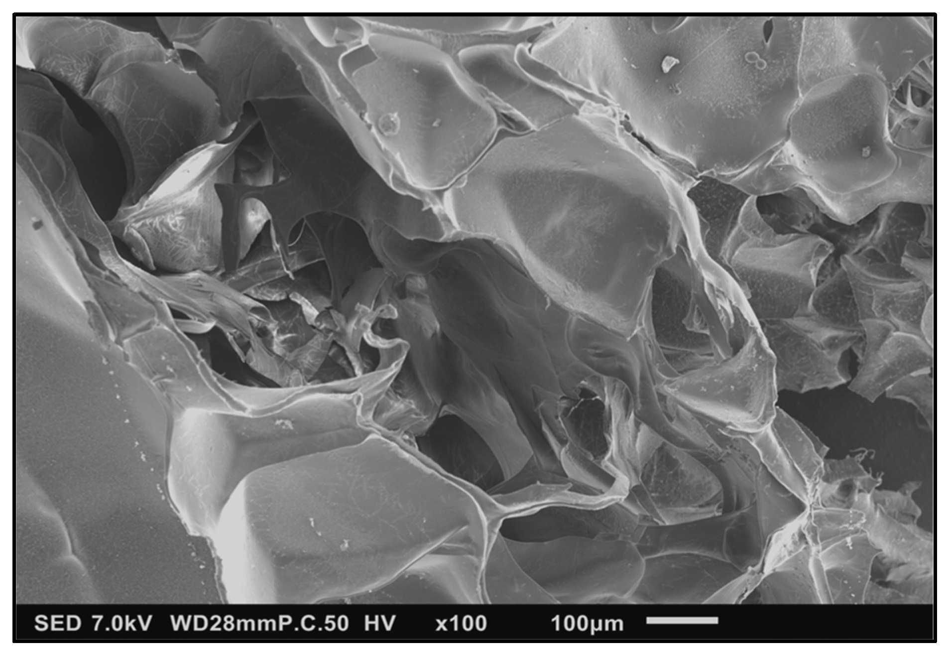 Polymers 16 00807 g004