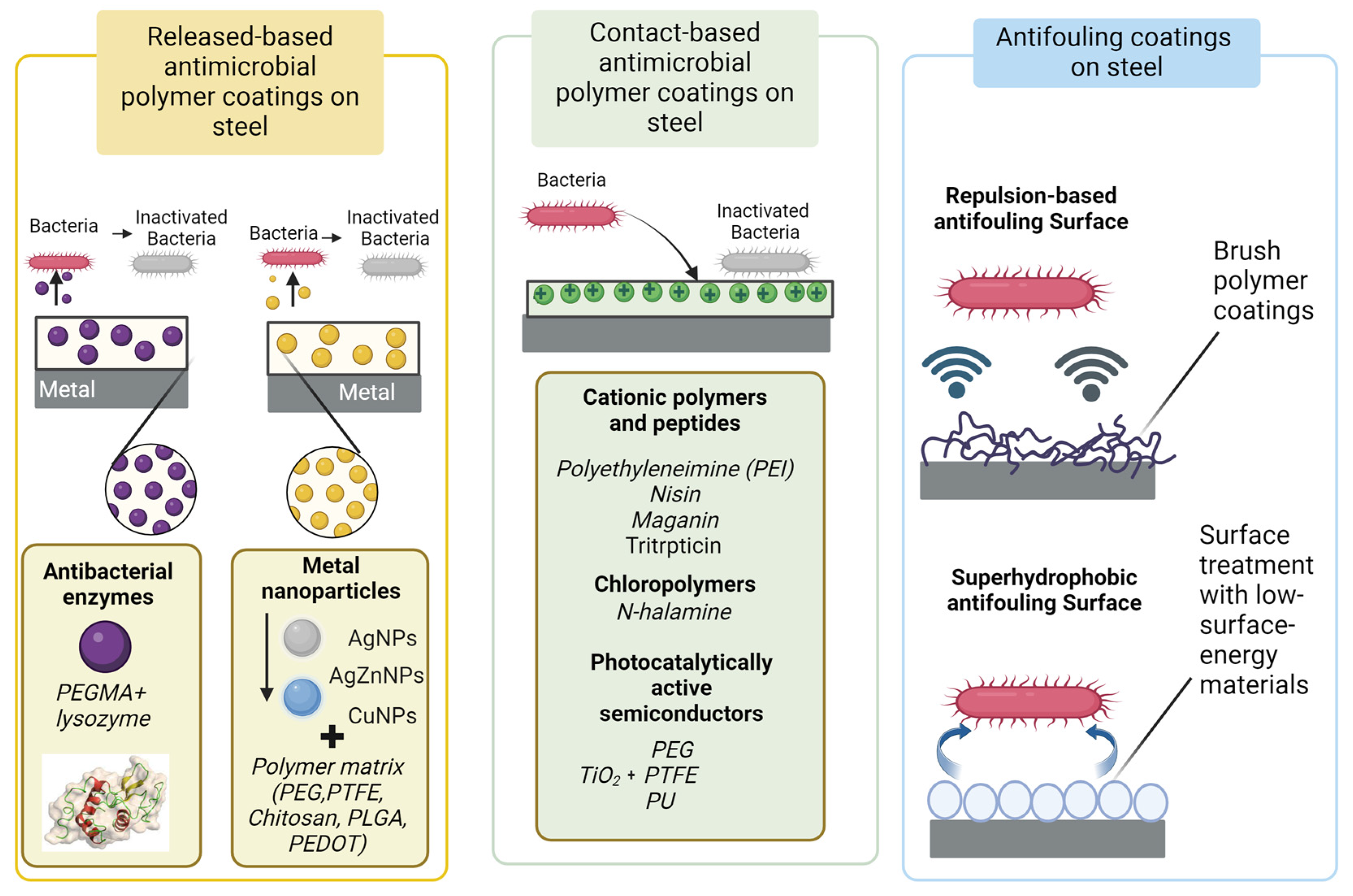 Polymers 16 00809 g001